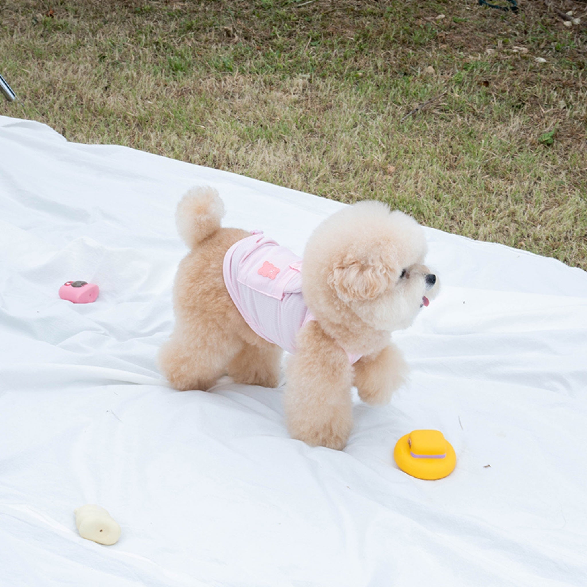 Dog Cooling Tank Top – Big Bear Baby Pink