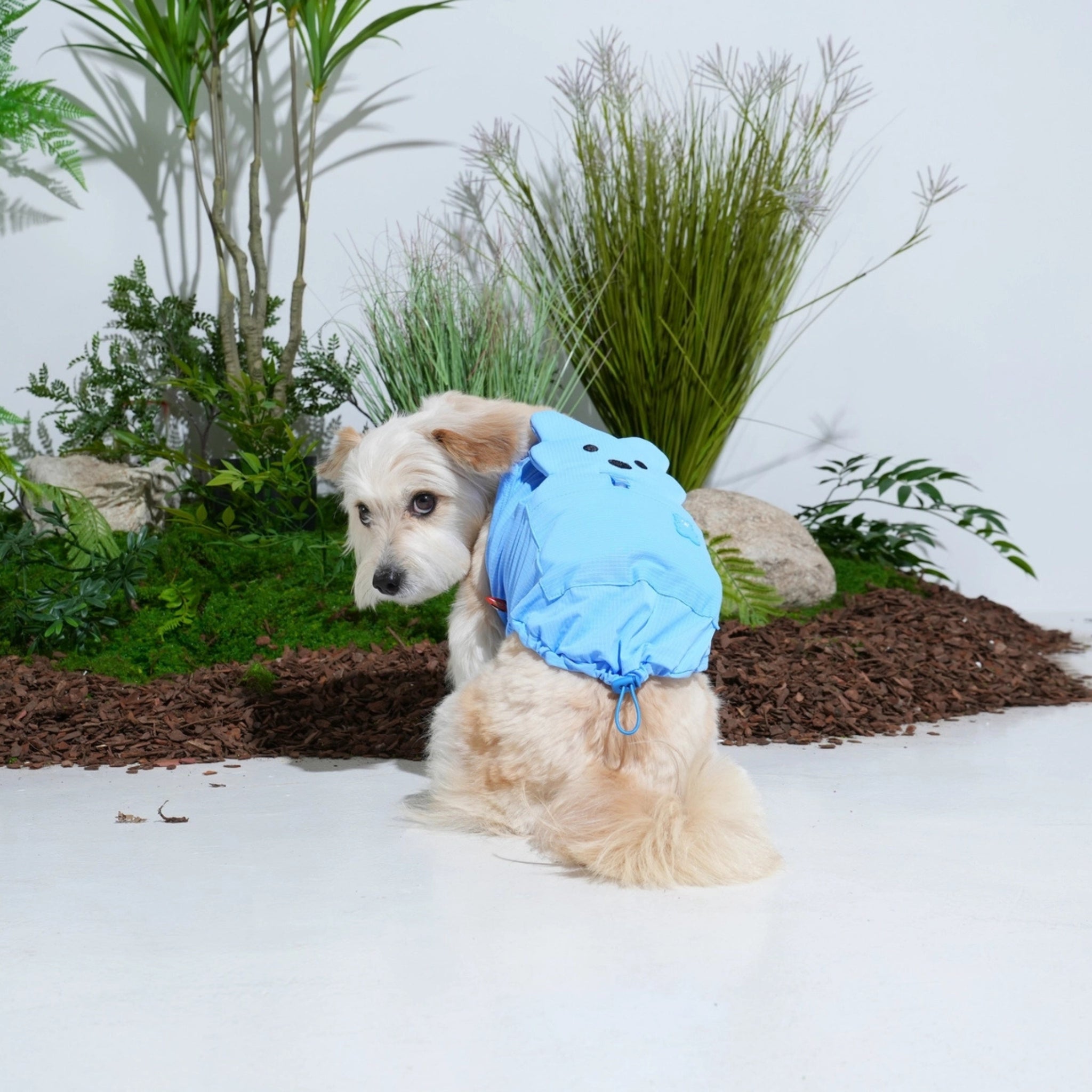 Dog Cooling Tank Top – Big Bear Blue