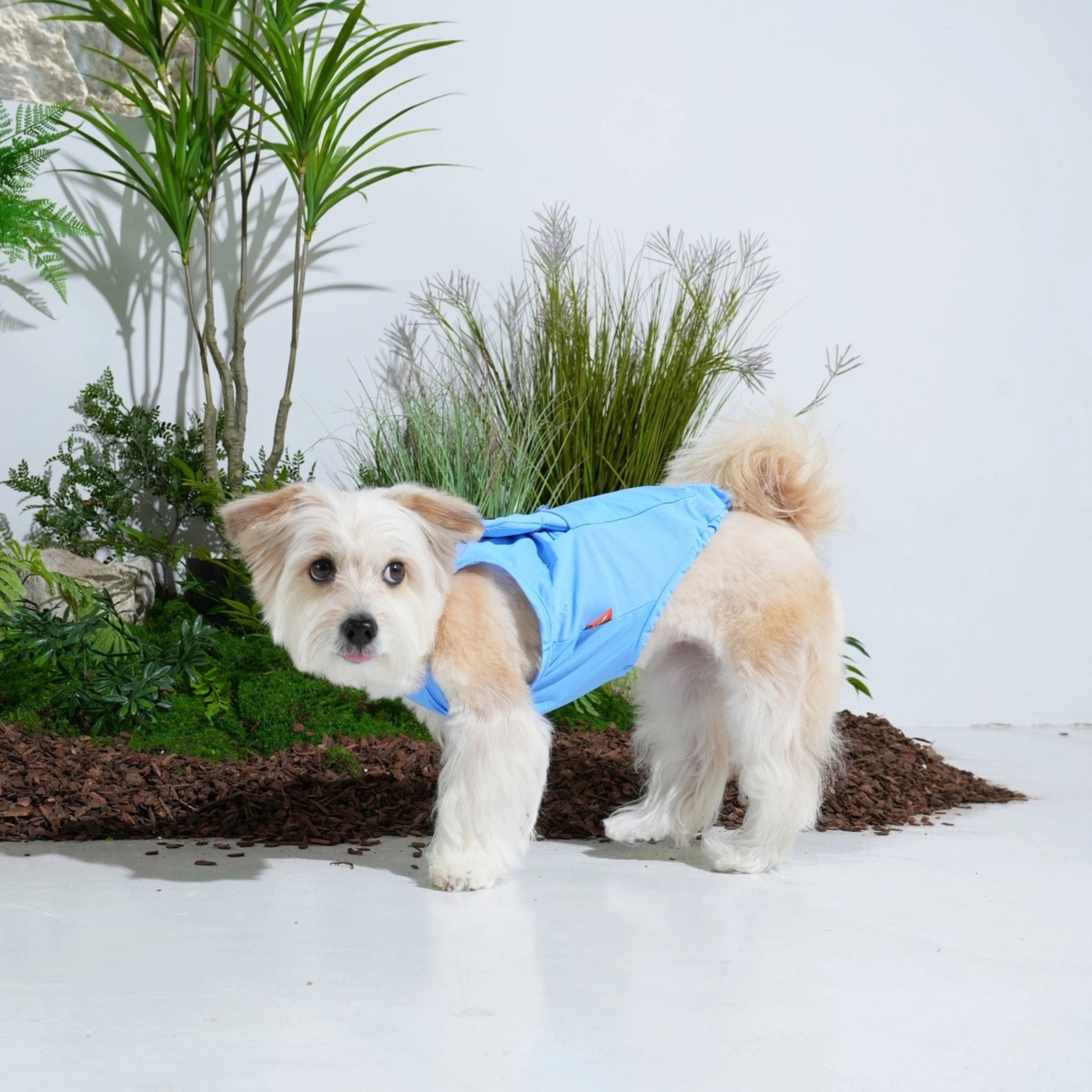 Dog Cooling Tank Top – Big Bear Blue