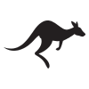 Kangaroo  Icon