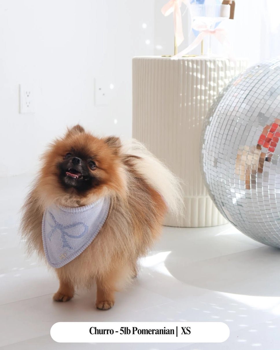 Dog Bandana - The Forever Tied Sky - The Deluxe Pup - La Maison Mou