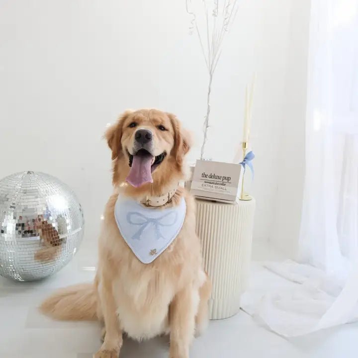 Dog Bandana - The Forever Tied Sky - The Deluxe Pup - La Maison Mou