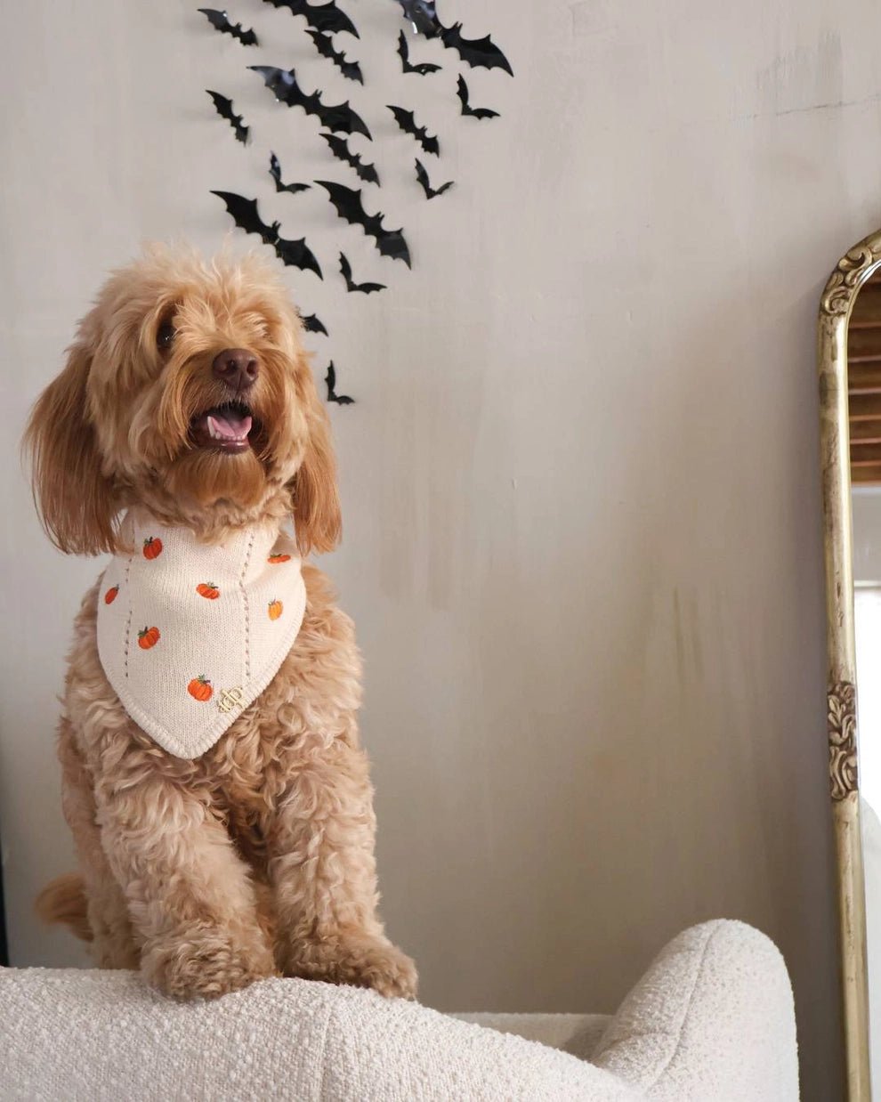 Dog Bandana - The Pumpkin Hollow - The Deluxe Pup - La Maison Mou
