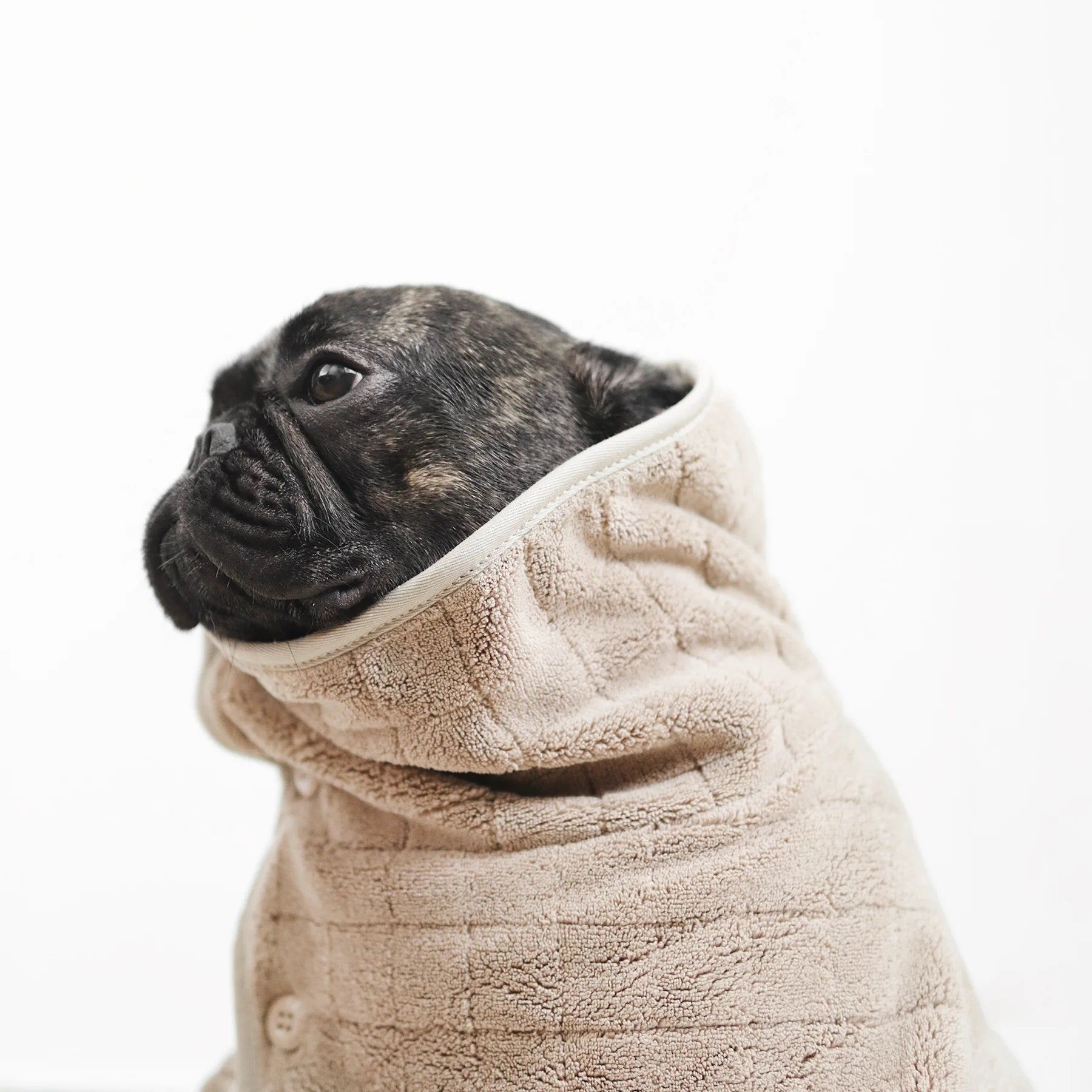 Dog Bathrobe - Baby Fleece Tan - Lambwolf Collective - La Maison Mou