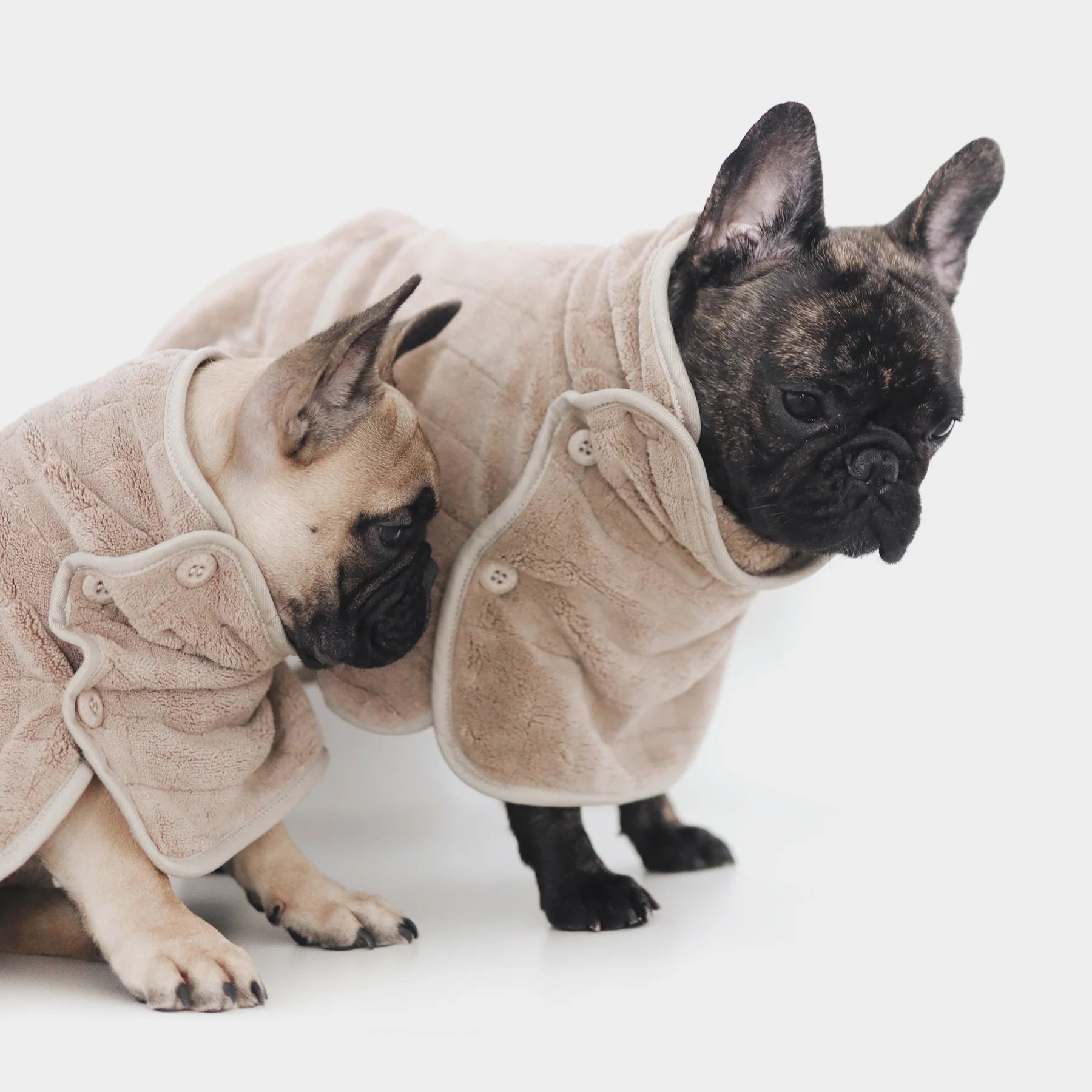 Dog Bathrobe - Baby Fleece Tan - Lambwolf Collective - La Maison Mou