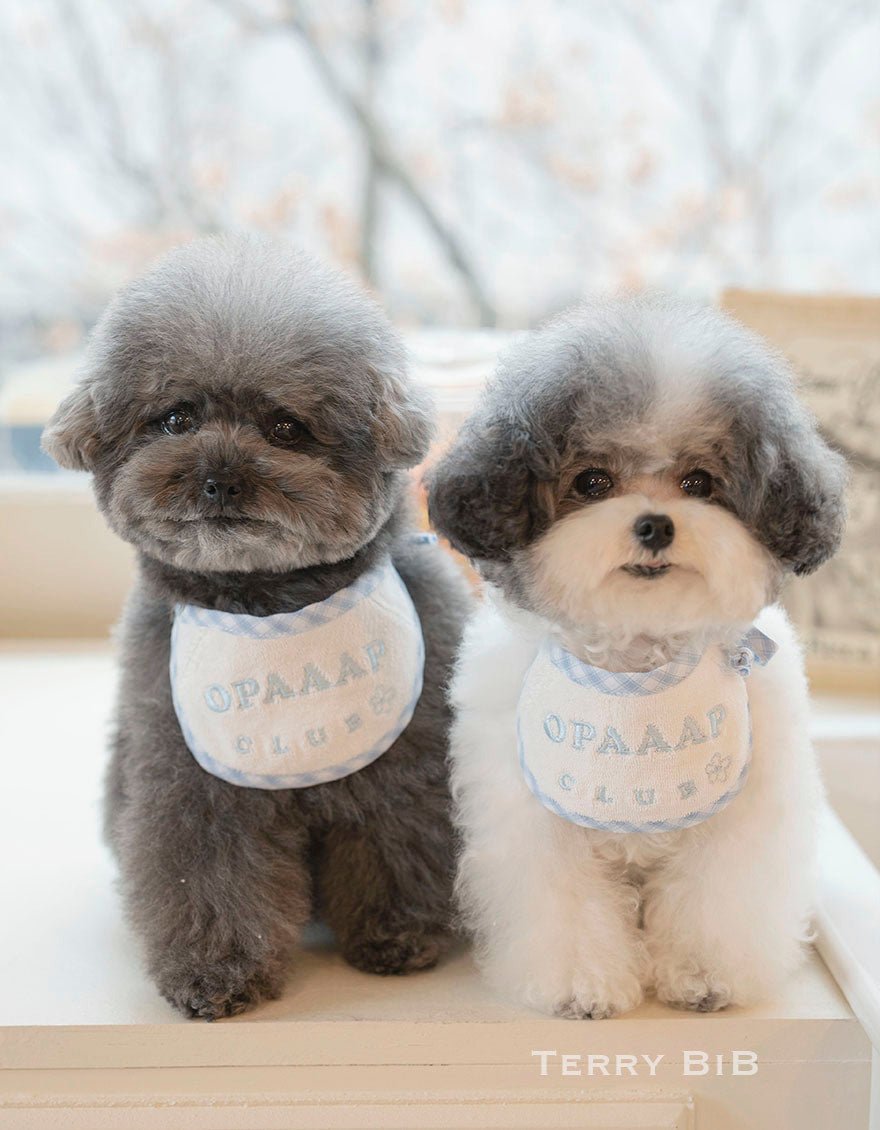 Dog Bib - Terry Blue & White - Opaaap - La Maison Mou