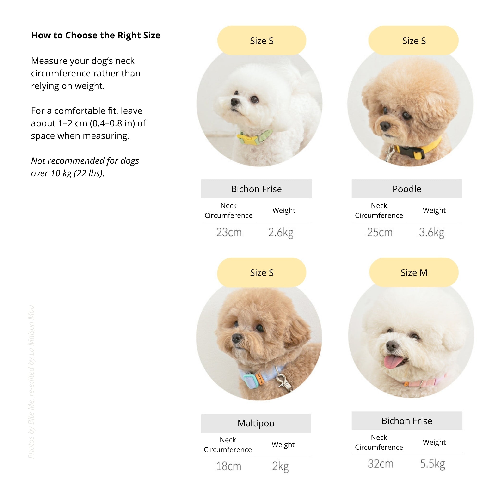 Dog Collar - Candy Crayon Blue - Bite Me - La Maison Mou