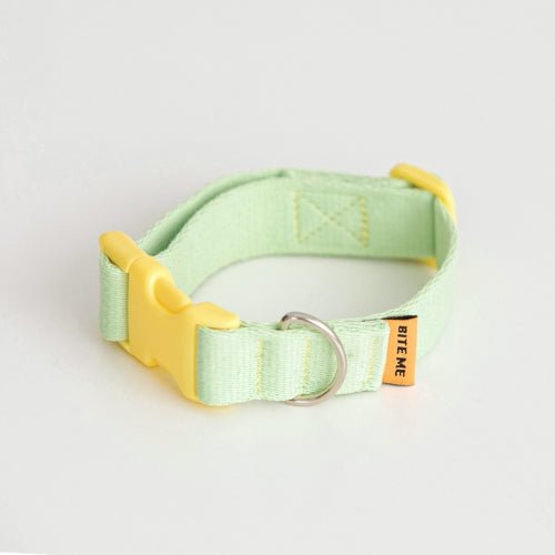 Dog Collar - Candy Crayon Green - Bite Me - La Maison Mou