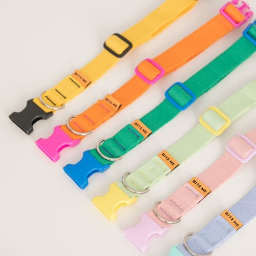 Dog Collar - Candy Crayon Pink - Bite Me - La Maison Mou