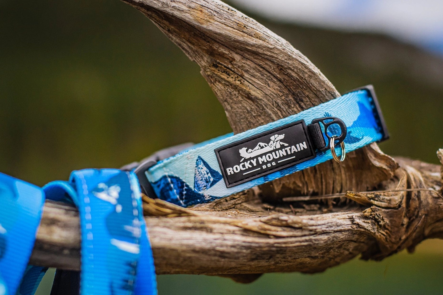 Dog Collar - Kootenay Alpine Winter - Rocky Mountain Dog - La Maison Mou