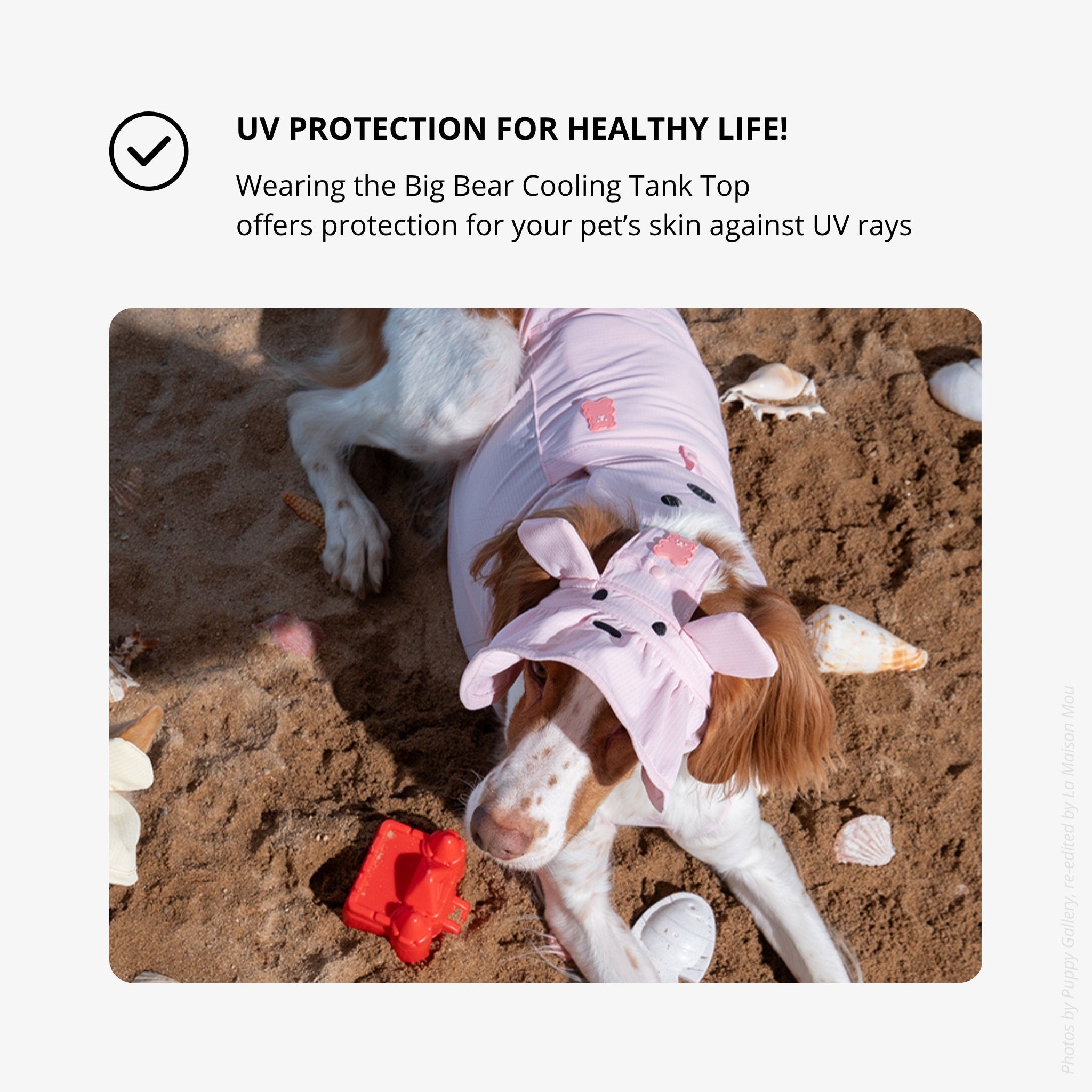 Dog Cooling Tank Top – Big Bear Blue - Puppy Gallery - La Maison Mou