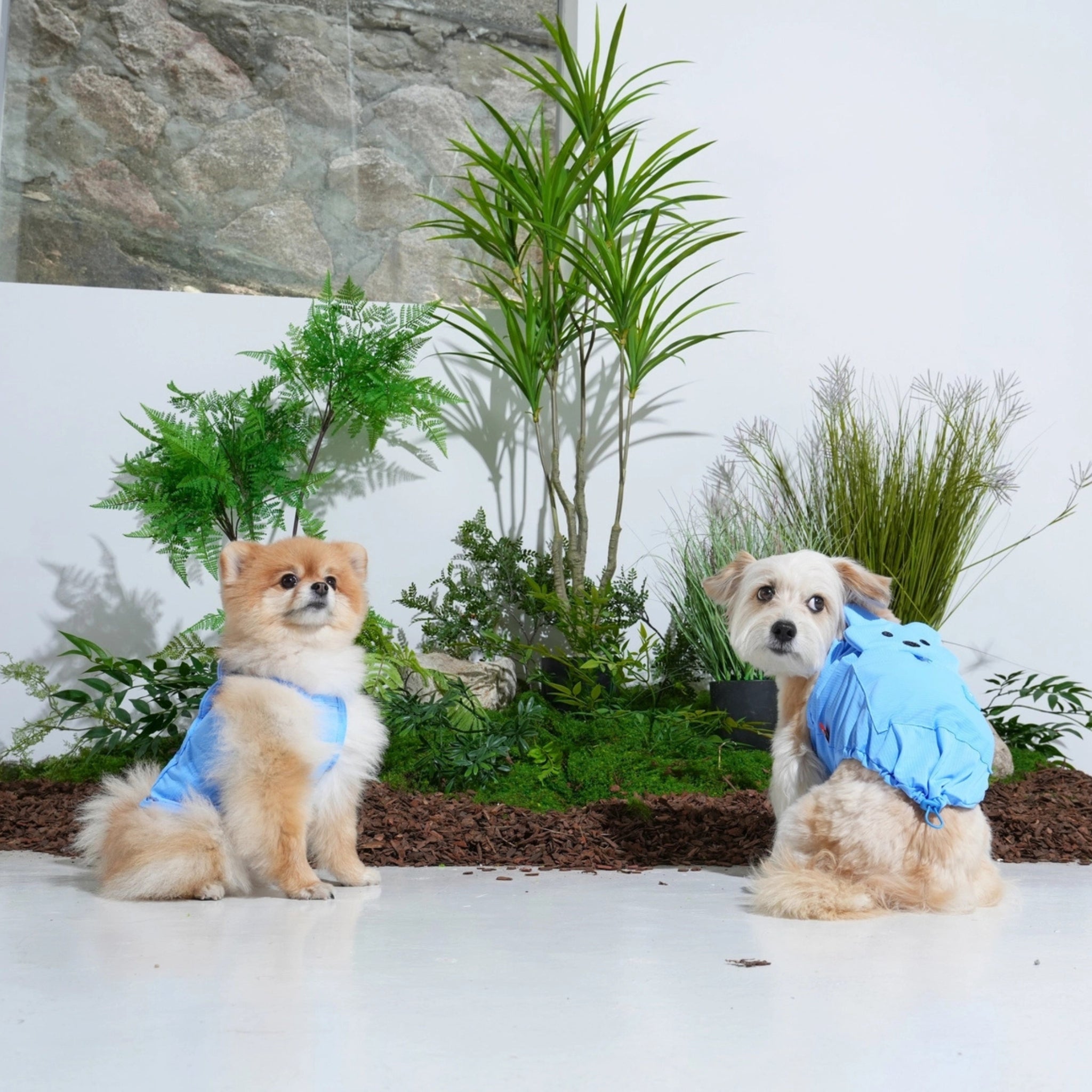 Dog Cooling Tank Top – Big Bear Blue - Puppy Gallery - La Maison Mou