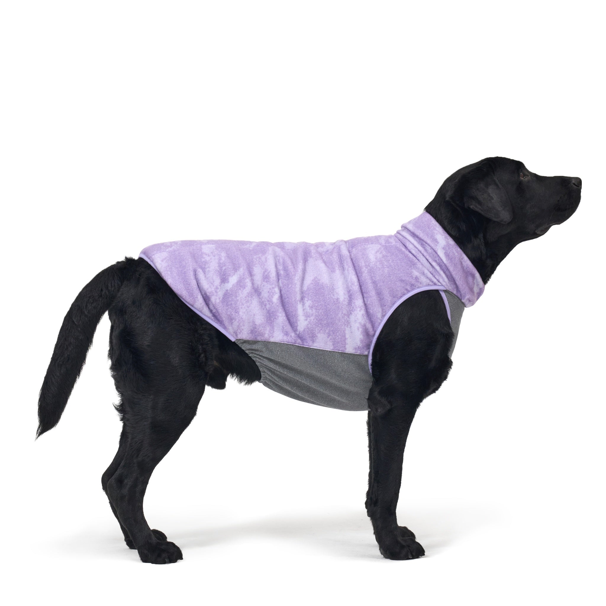 Dog Jacket – Shelter™ Jacket Purple - Merlot - La Maison Mou