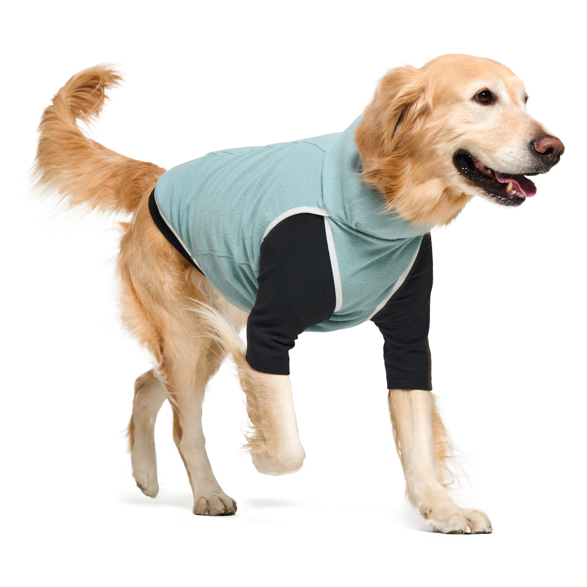 Dog Jacket – Shelter™ Layer Mint - Merlot - La Maison Mou