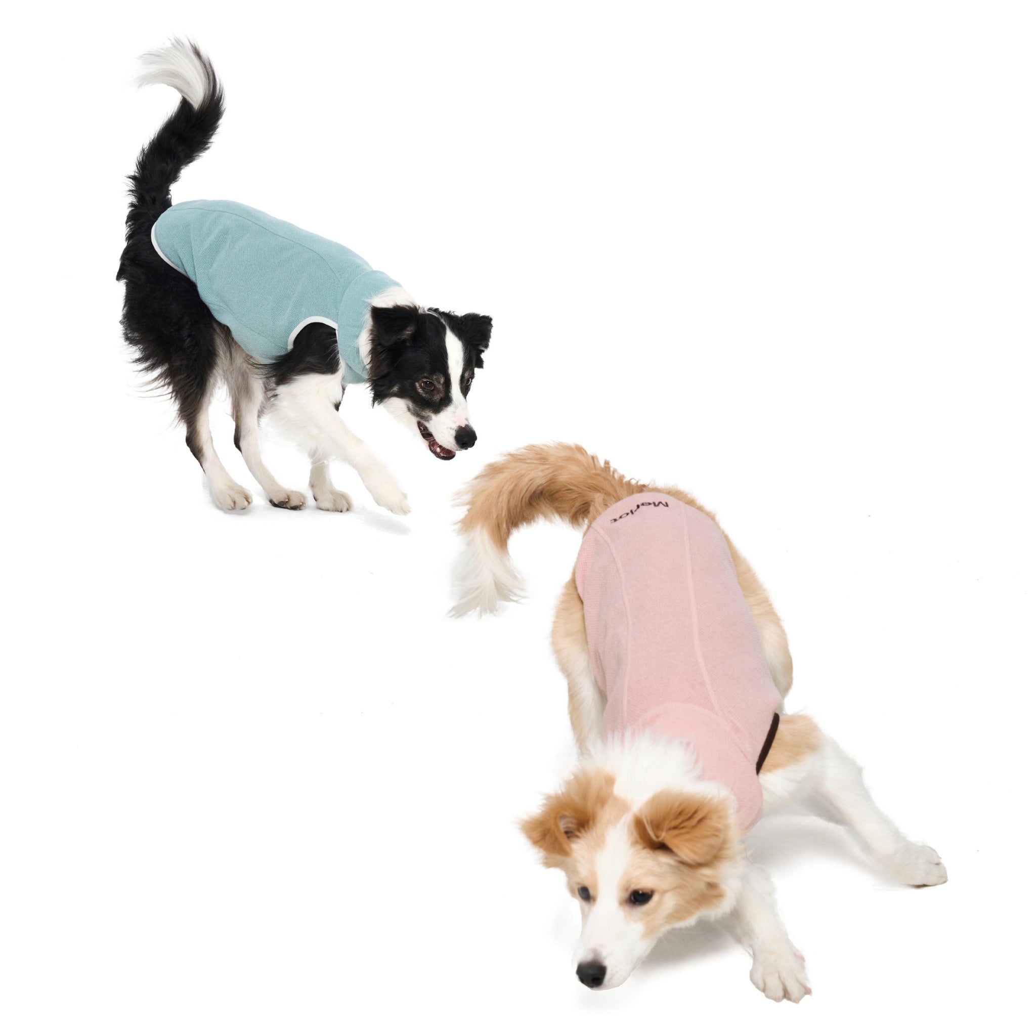 Dog Jacket – Shelter™ Layer Pink - Merlot - La Maison Mou