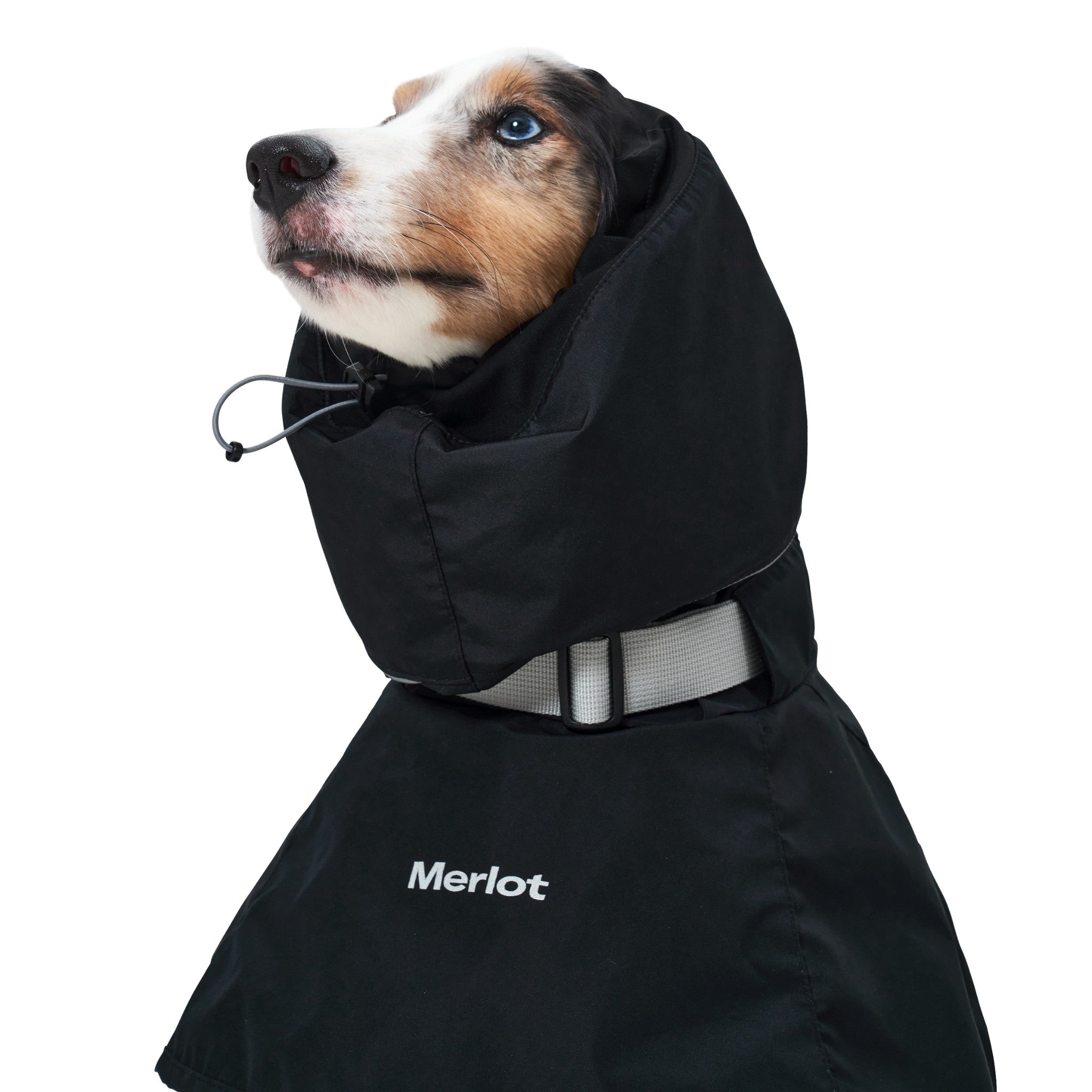 Dog Raincoat - Ain™ Coat Black - Merlot - La Maison Mou