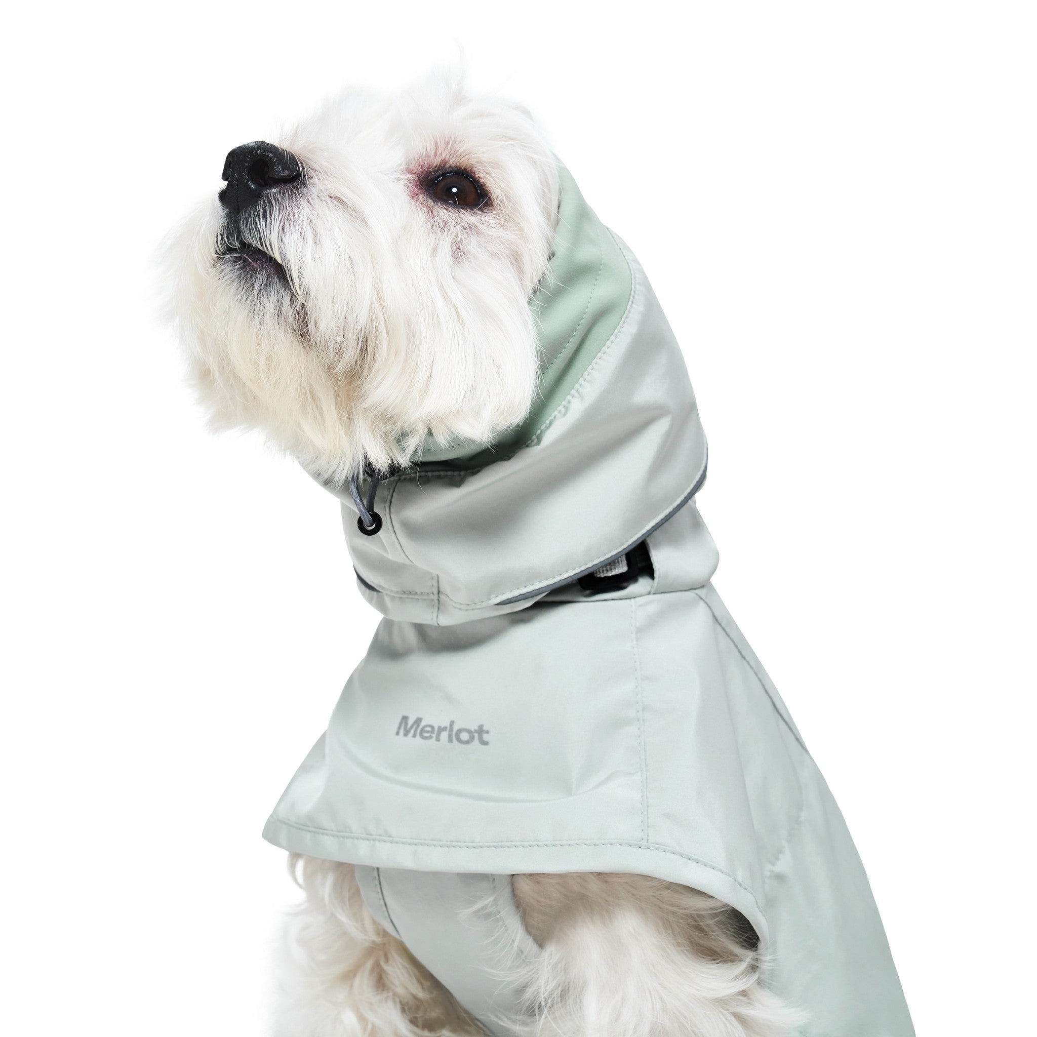 Dog Raincoat - Ain™ Coat Lime Stone - Merlot - La Maison Mou