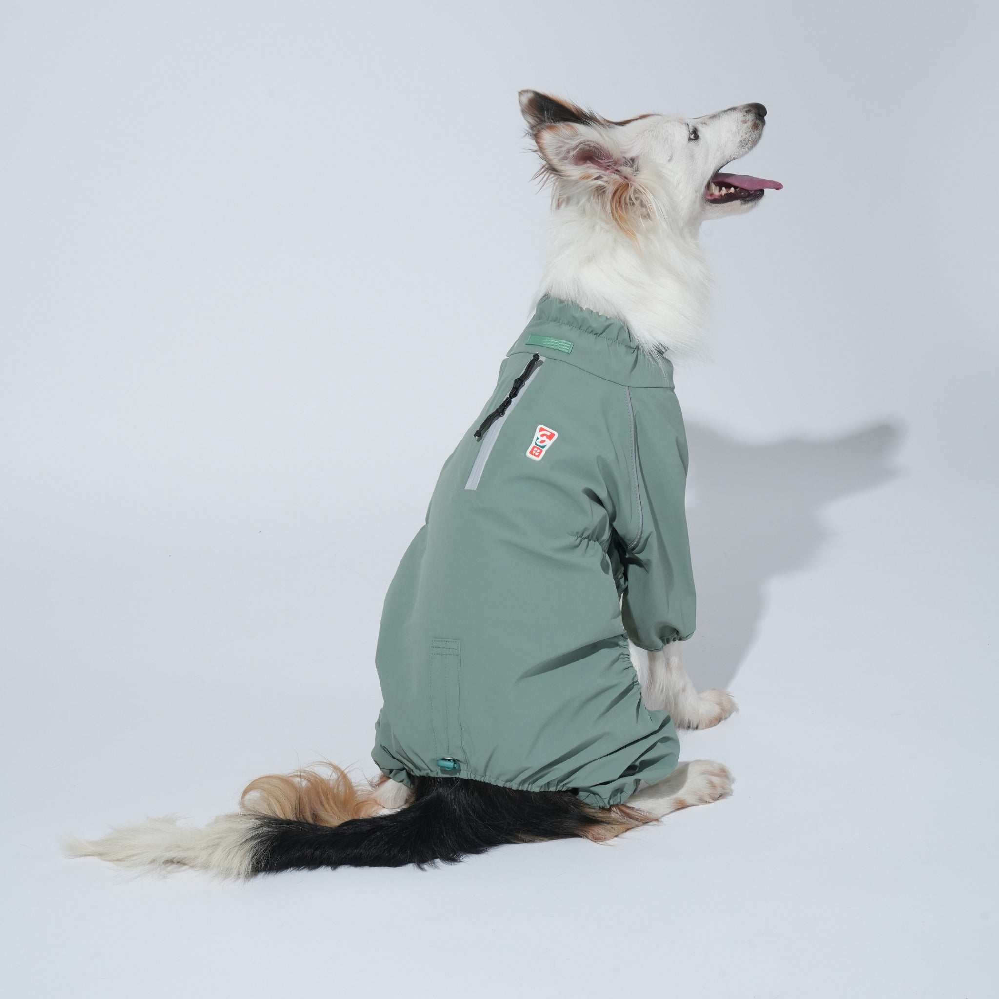Dog Raincoat – Waterproof Go Pro Rainsuit Khaki - Puppy Gallery - La Maison Mou