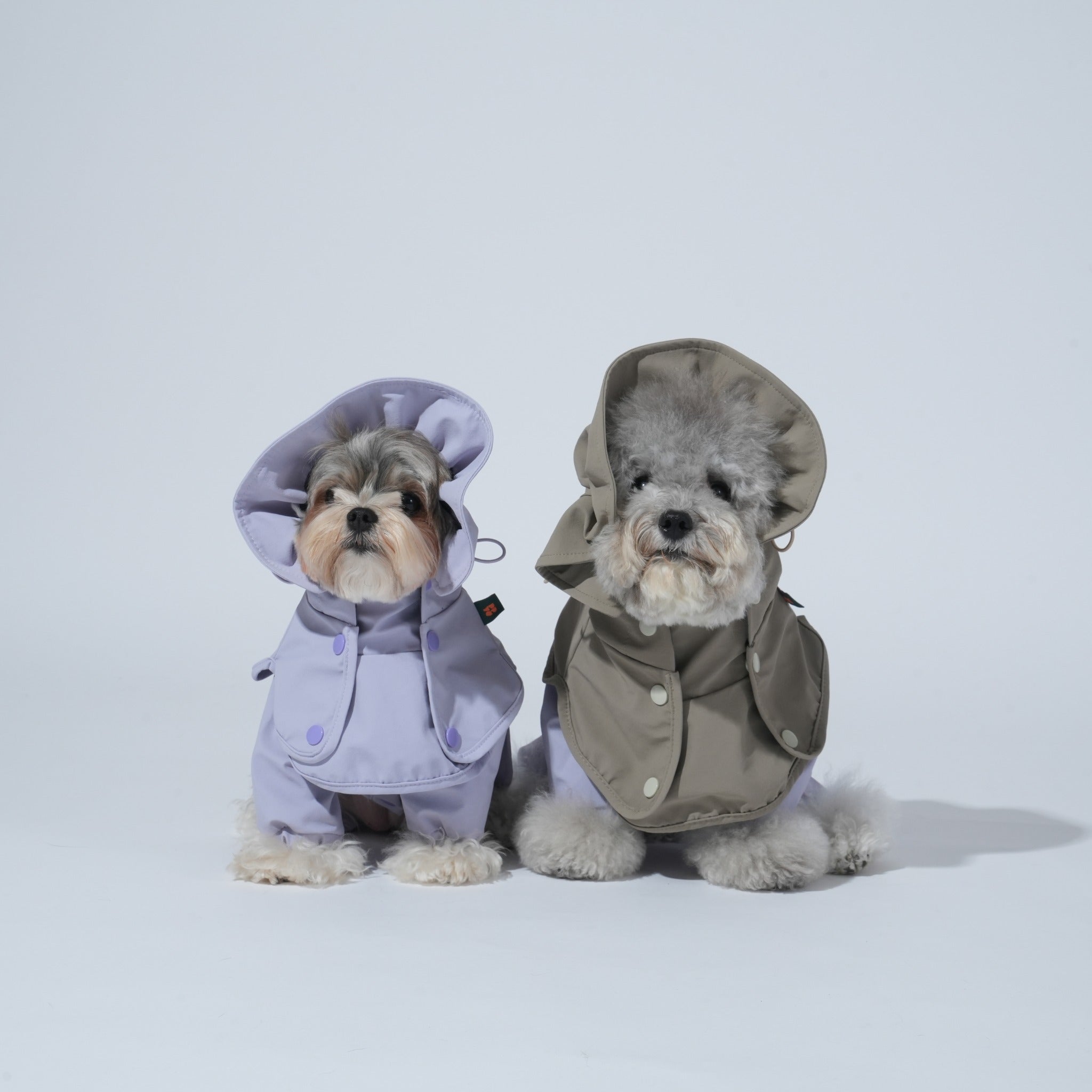 Dog Rainsnood – Waterproof Go Pro Lavender - Puppy Gallery - La Maison Mou