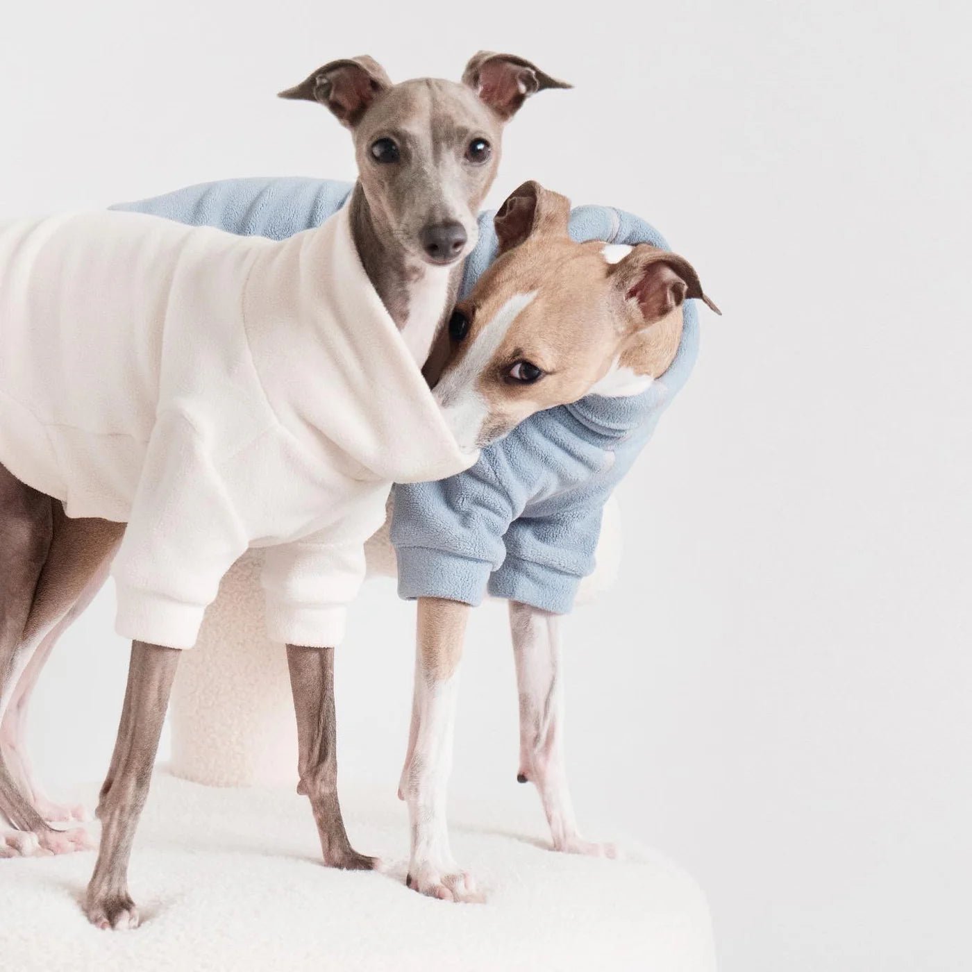 Dog Shirt - Polar Fleece Comfort Fit Cream - Lambwolf Collective - La Maison Mou