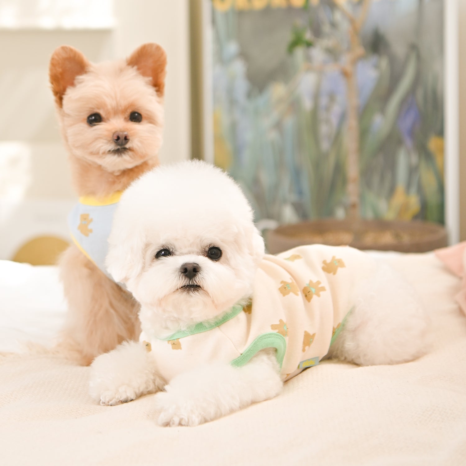 Dog T-Shirt - Bear OAVA Cream - Olchi - La Maison Mou