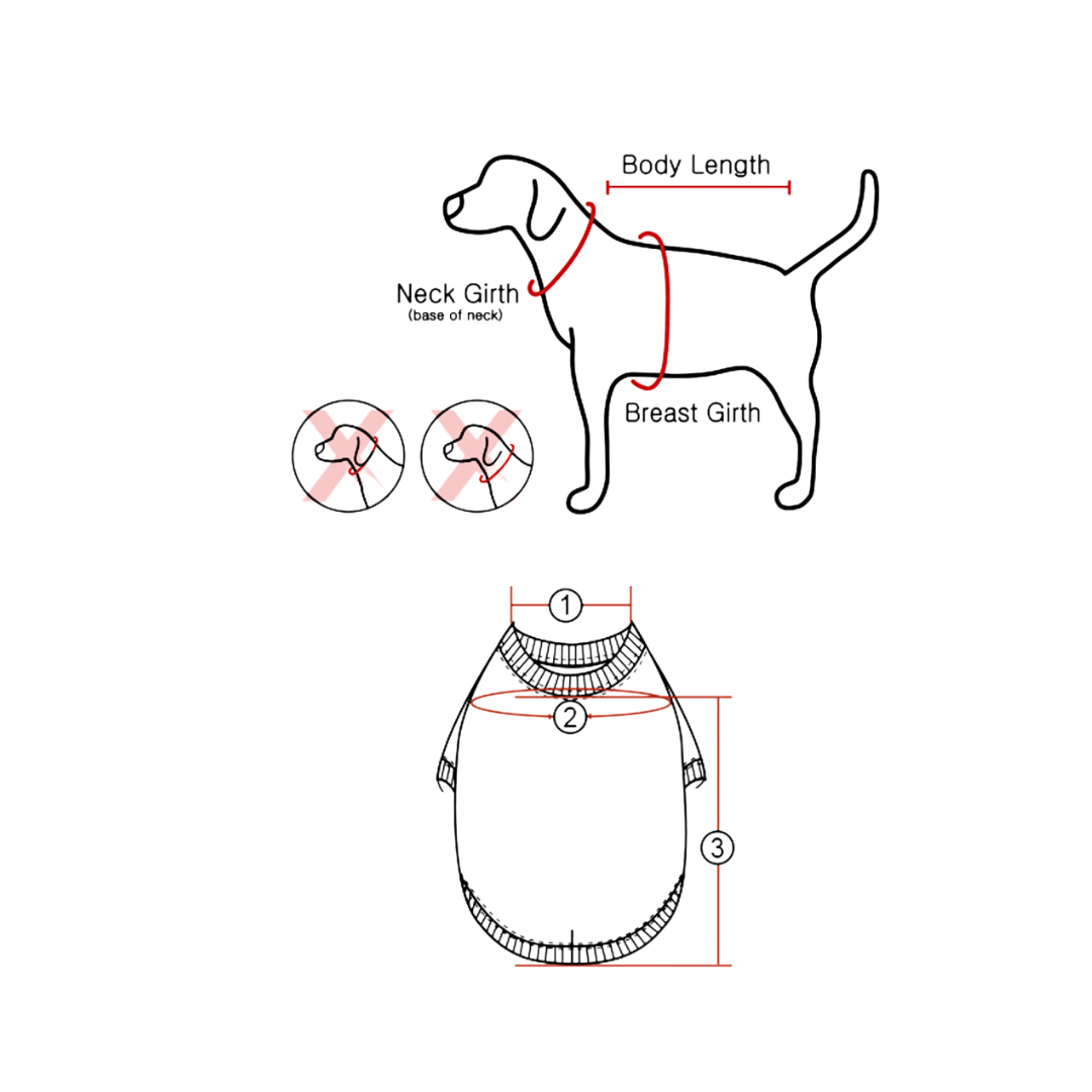 Dog T-Shirt - Bear OAVA Cream - Olchi - La Maison Mou