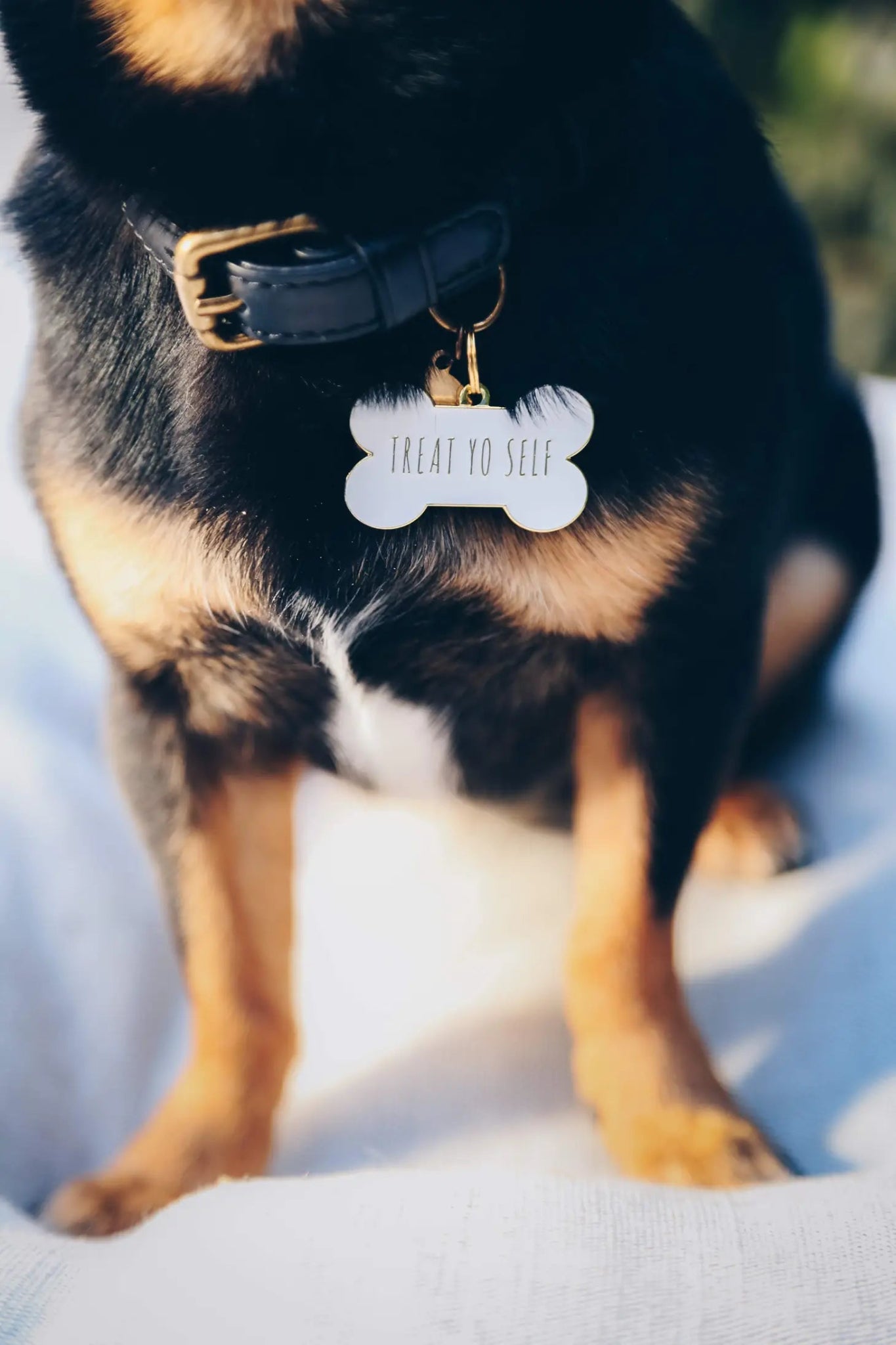 Dog Tag - Treat Yo Self White - Two Tails - La Maison Mou