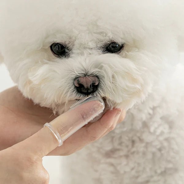 Dog Toothbrush - Silicone Finger - Bite Me - La Maison Mou