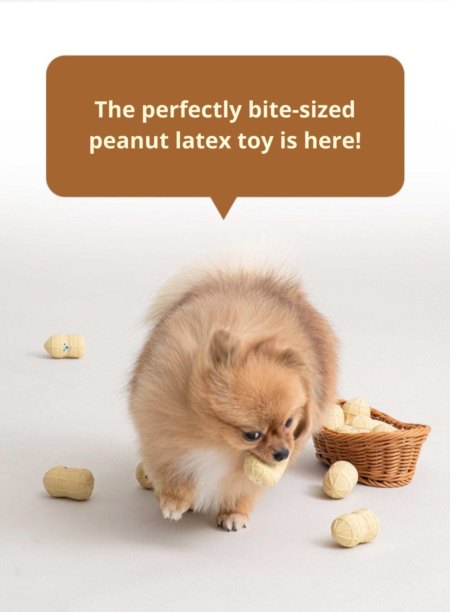 Dog Toy - Peanut Latex (Set of 4) - Bite Me - La Maison Mou