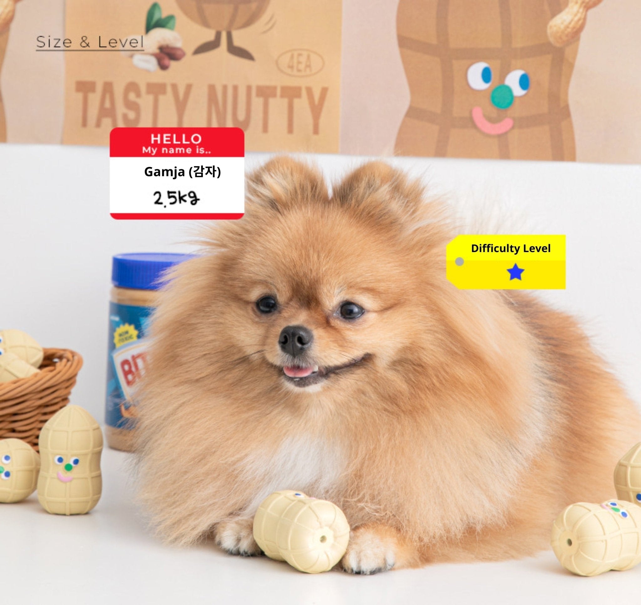 Dog Toy - Peanut Latex (Set of 4) - Bite Me - La Maison Mou