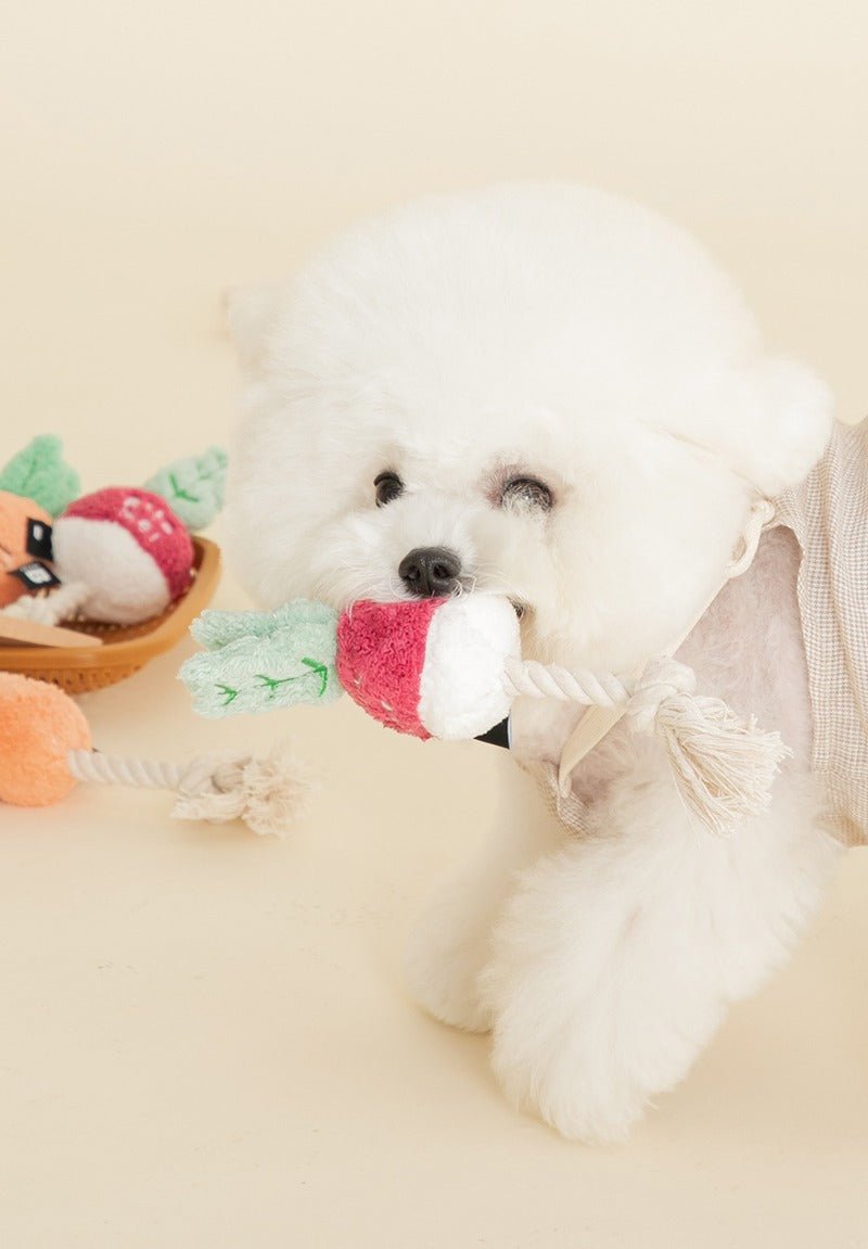 Dog Toy - Root Vegetables Carrot or Beet - Bite Me - La Maison Mou
