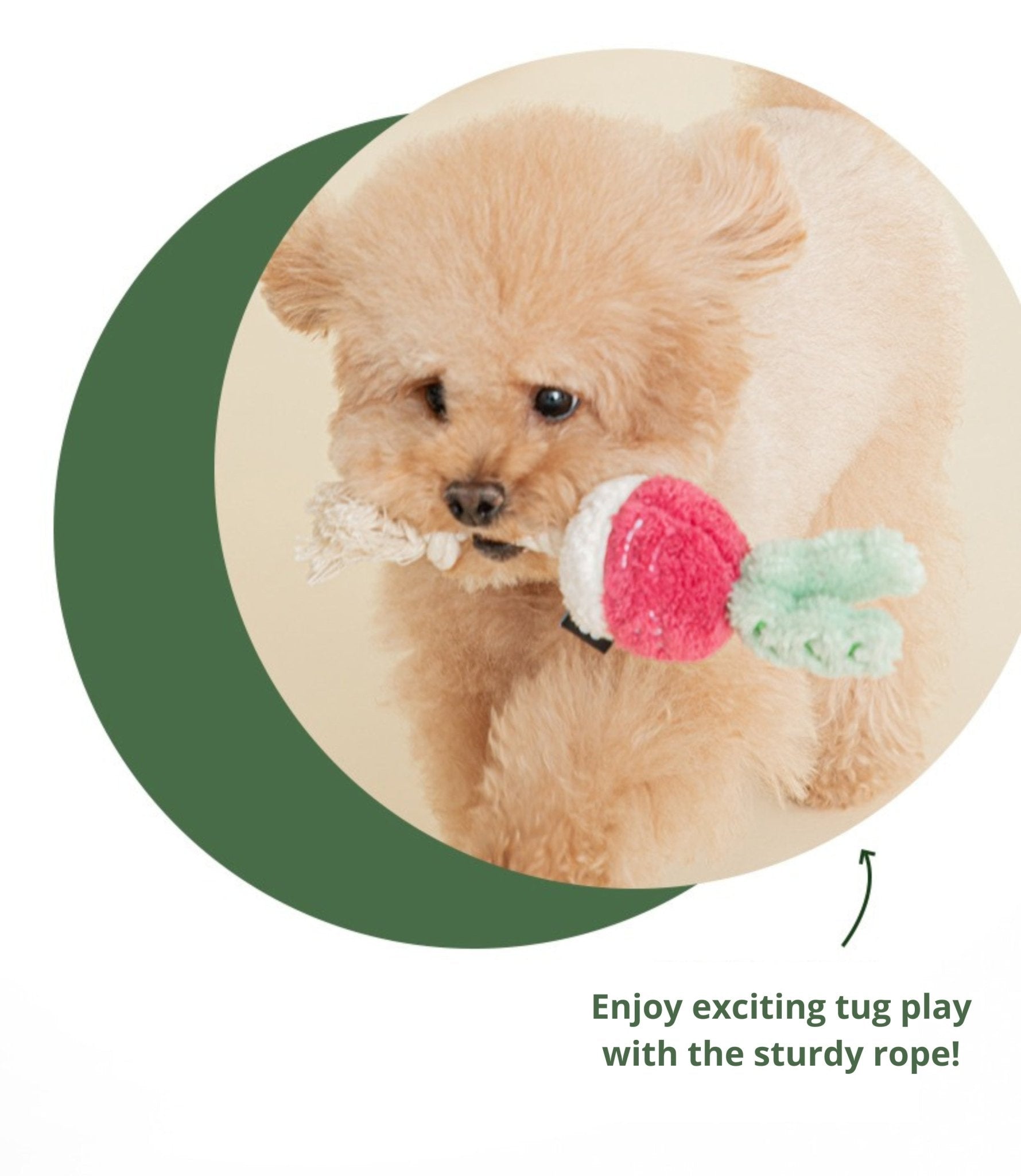 Dog Toy - Root Vegetables Carrot or Beet - Bite Me - La Maison Mou