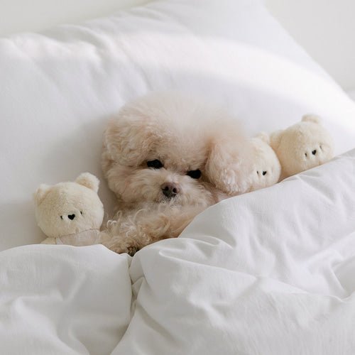 Dog Toy - SSFW My Bestie Bear - Bite Me - La Maison Mou