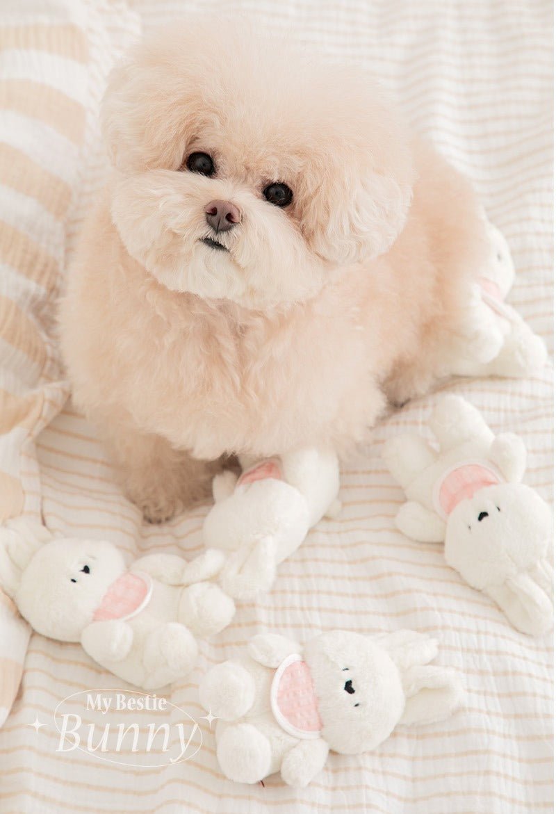 Dog Toy - SSFW My Bestie Bunny - Bite Me - La Maison Mou