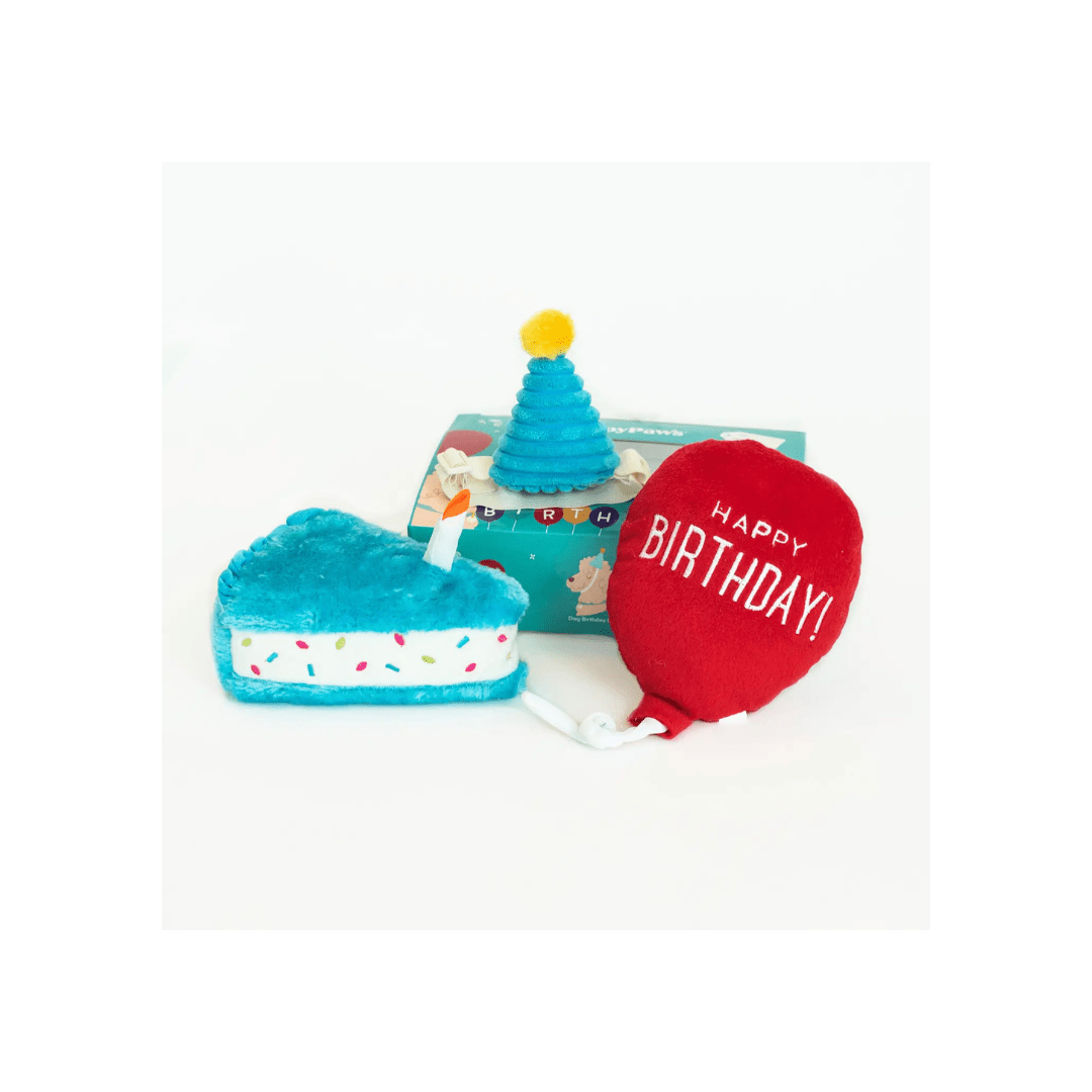 Doy Toy - Pup Birthday Box Blue - ZippyPaws - La Maison Mou