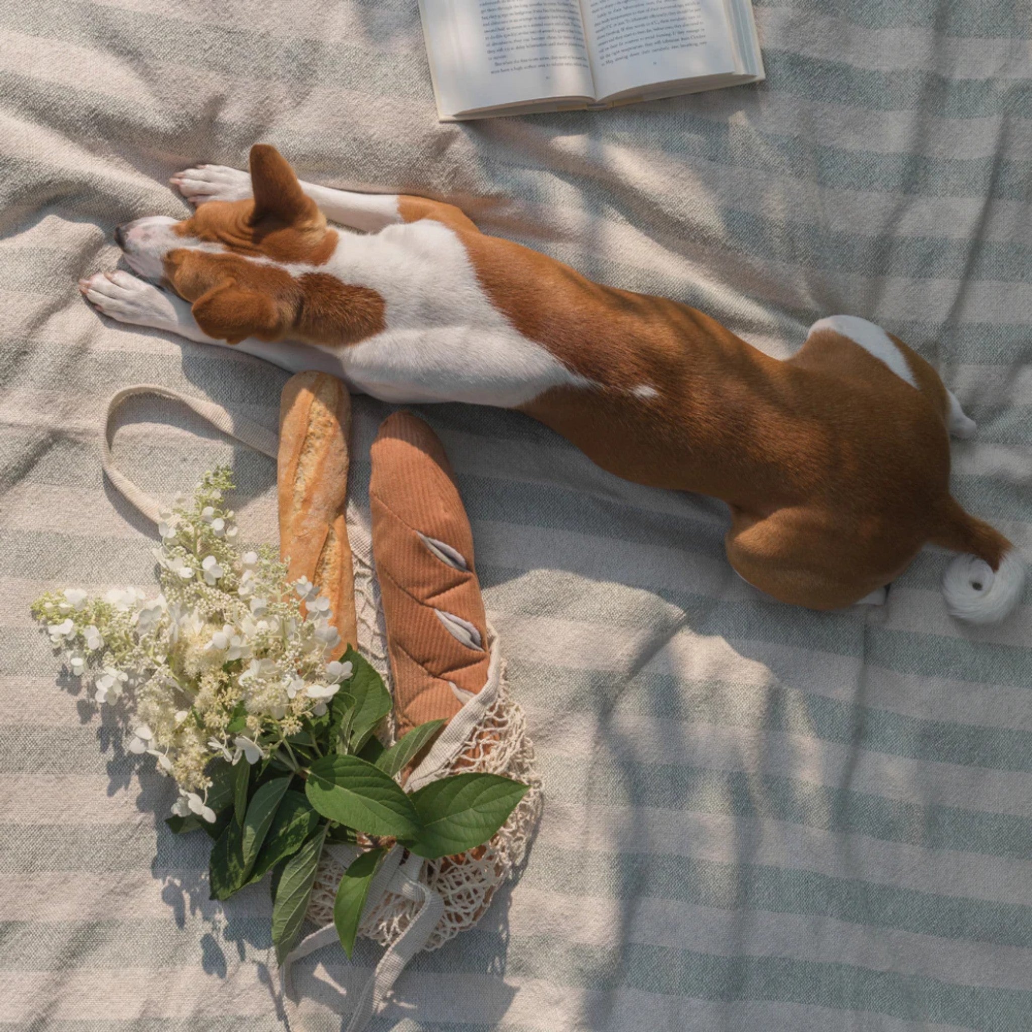 Enrichment Dog Toy - Baguette - Lambwolf Collective - La Maison Mou