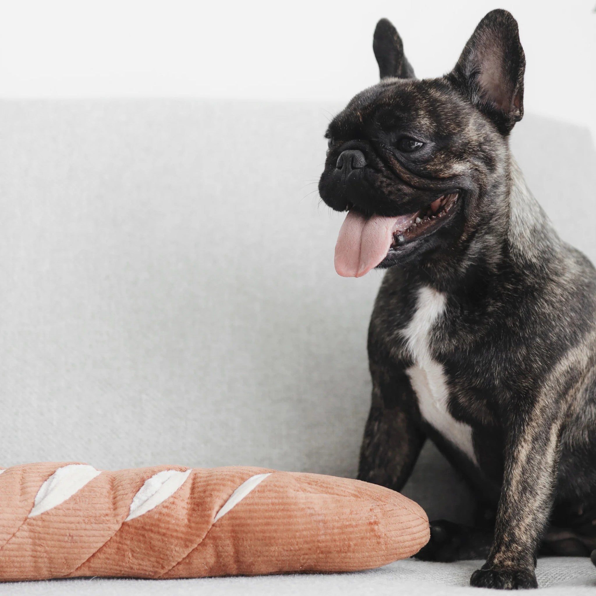 Enrichment Dog Toy - Baguette - Lambwolf Collective - La Maison Mou