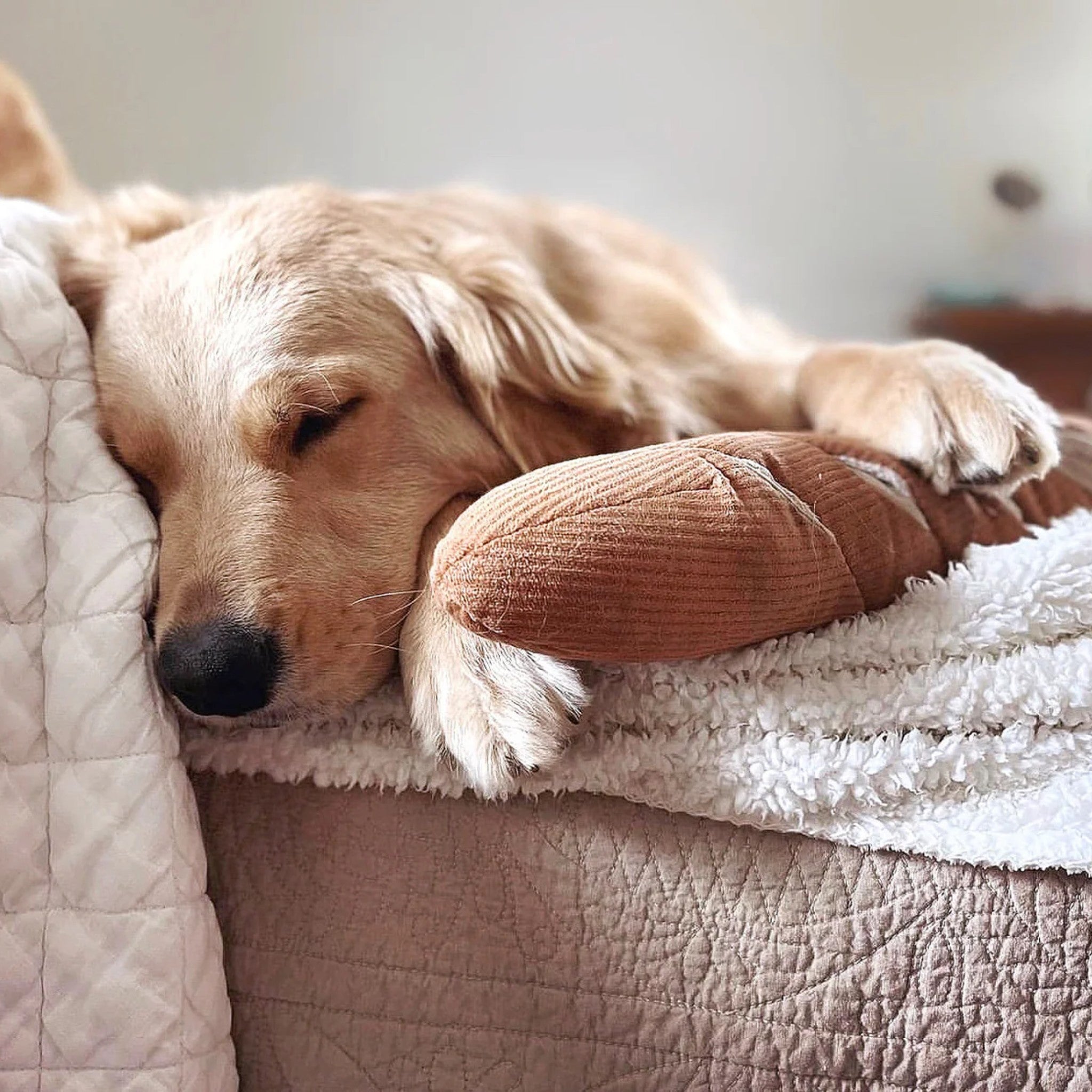 Enrichment Dog Toy - Baguette - Lambwolf Collective - La Maison Mou