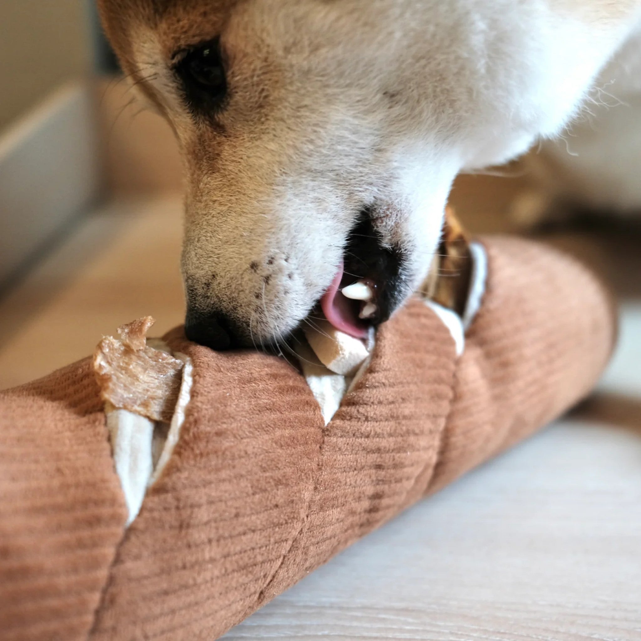 Enrichment Dog Toy - Baguette - Lambwolf Collective - La Maison Mou