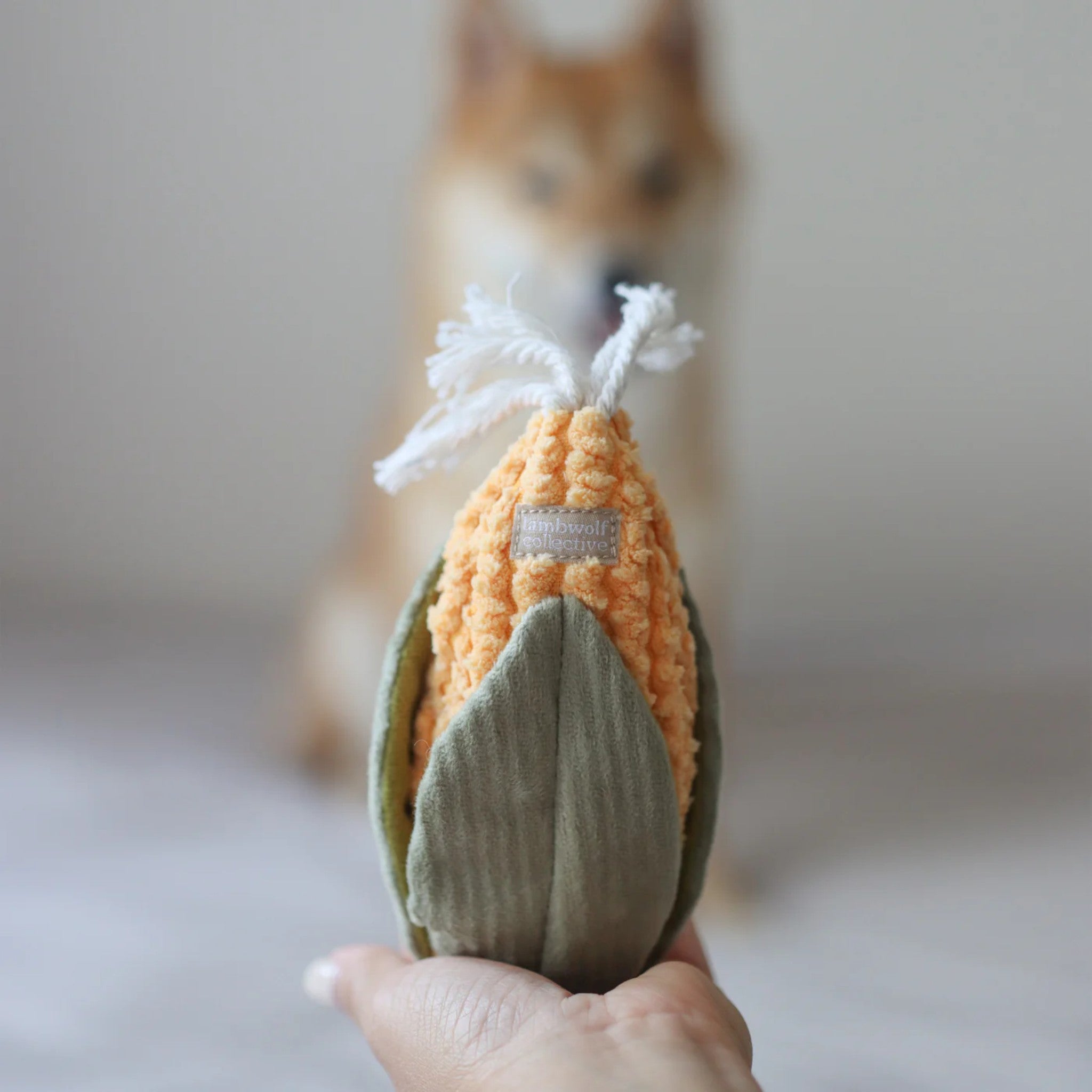 Enrichment Dog Toy - Corn And Leek Set - Lambwolf Collective - La Maison Mou