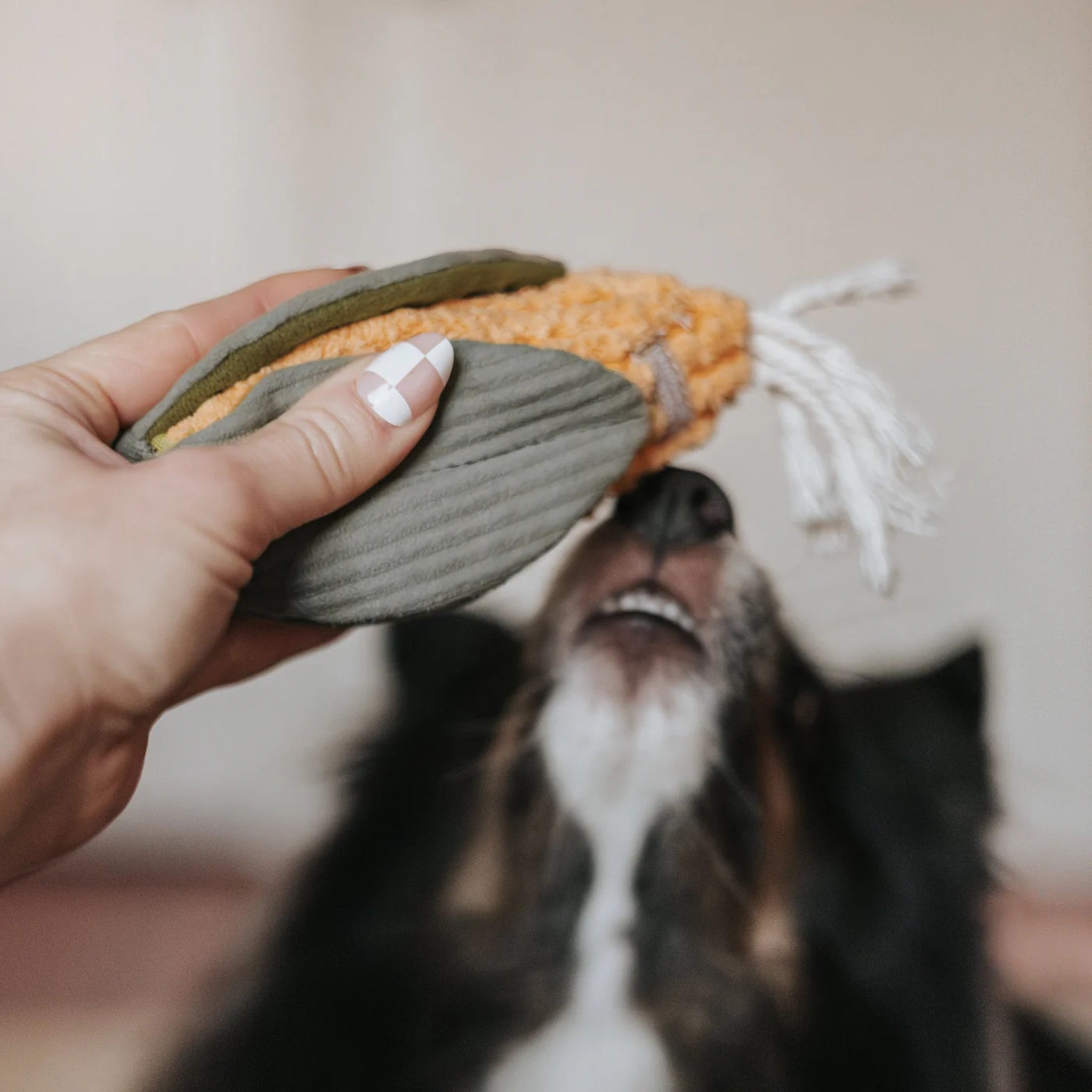 Enrichment Dog Toy - Corn - Lambwolf Collective - La Maison Mou