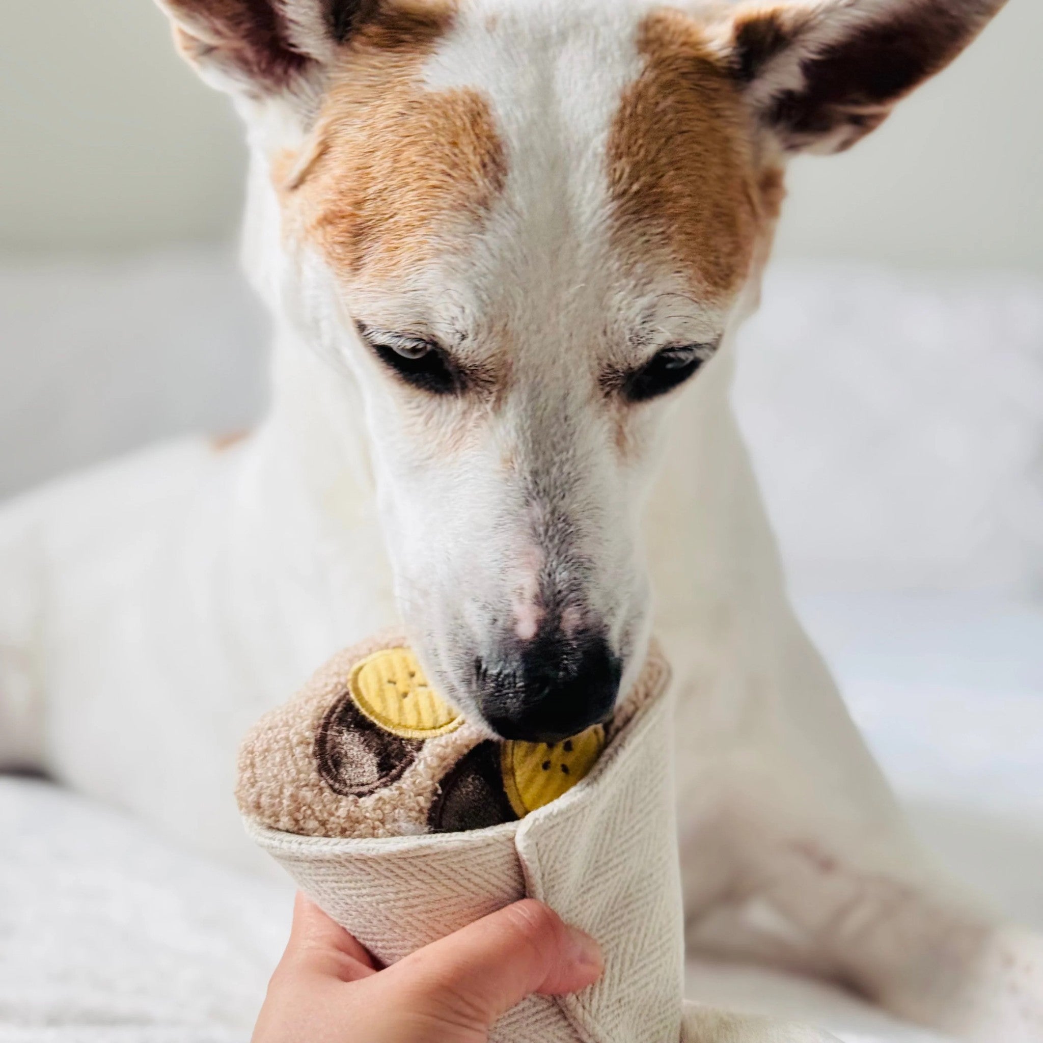 Enrichment Dog Toy - Crepe - Lambwolf Collective - La Maison Mou
