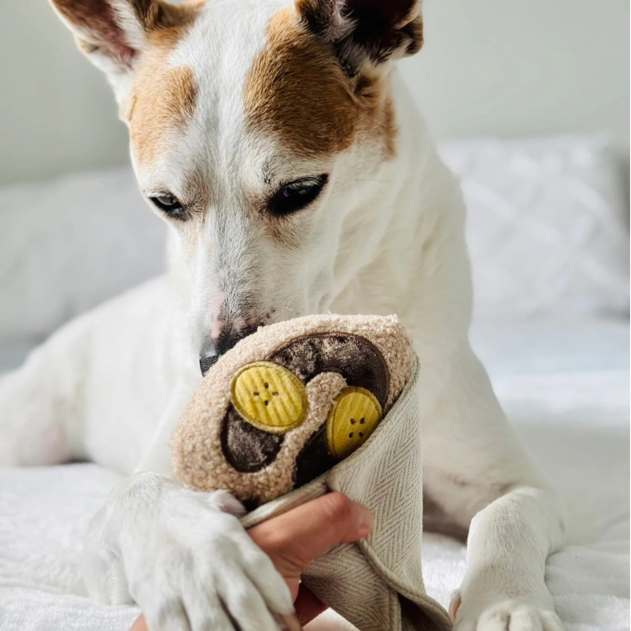Enrichment Dog Toy - Crepe - Lambwolf Collective - La Maison Mou
