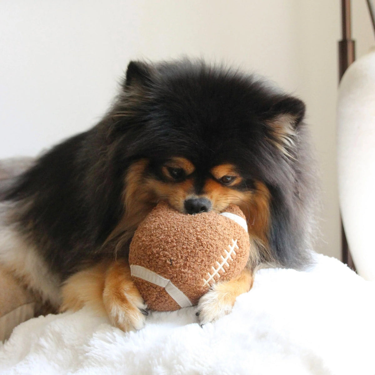 Enrichment Dog Toy - Football - Lambwolf Collective - La Maison Mou