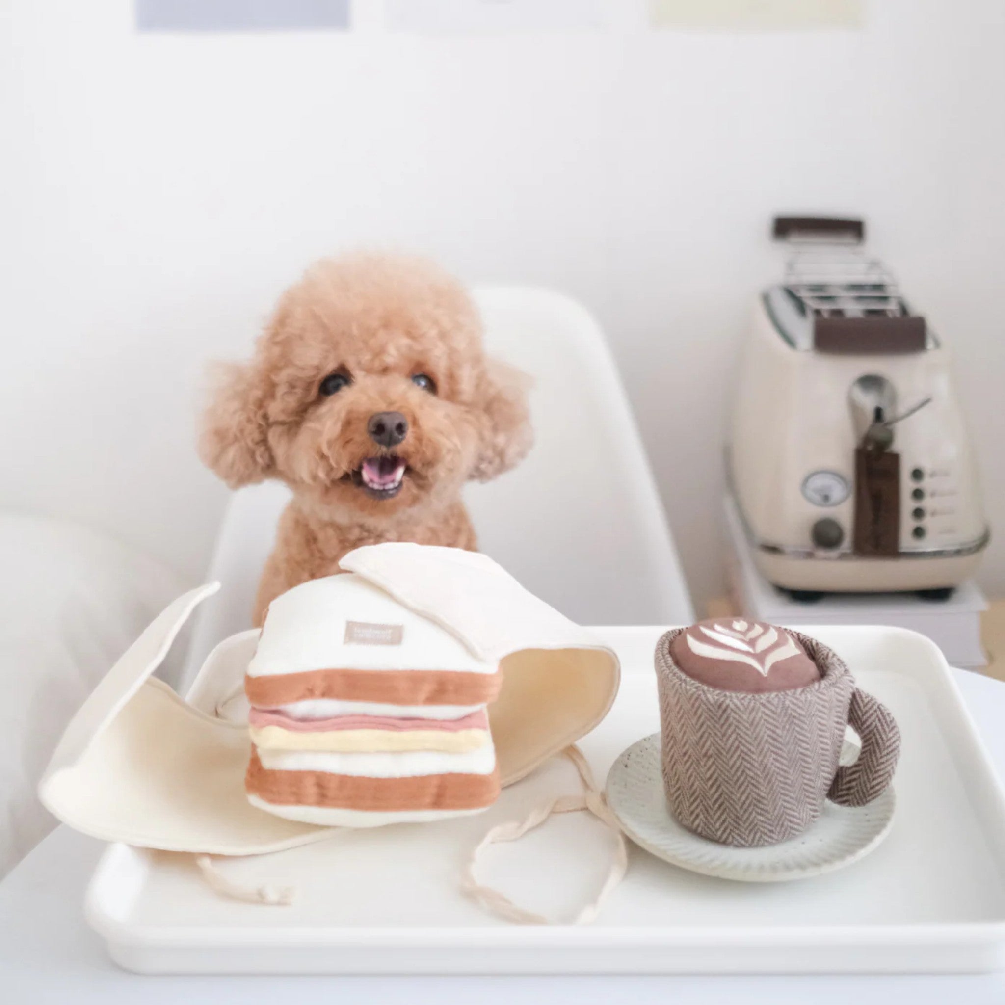 Enrichment Dog Toy - Latte Pop - Lambwolf Collective - La Maison Mou