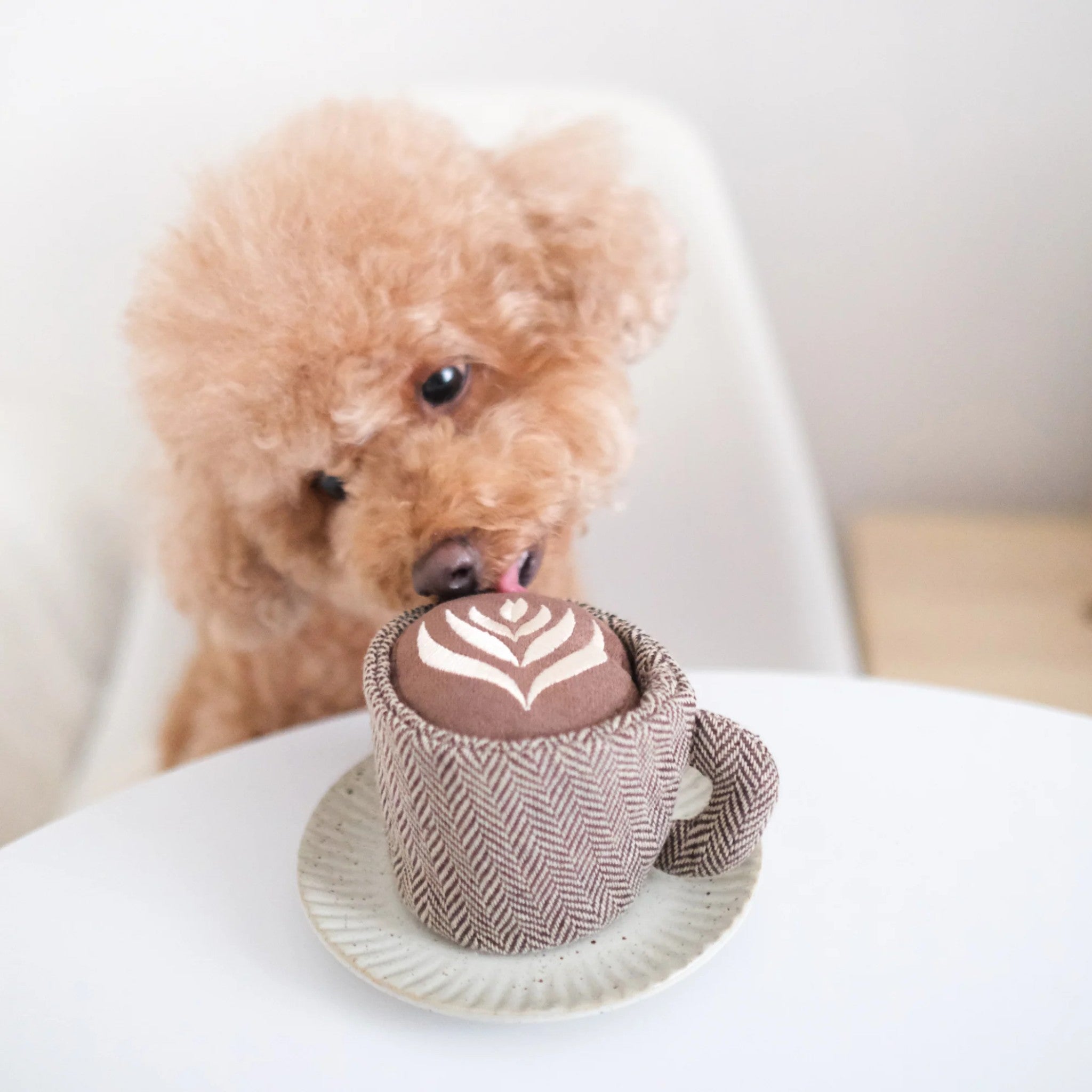 Enrichment Dog Toy - Latte Pop - Lambwolf Collective - La Maison Mou
