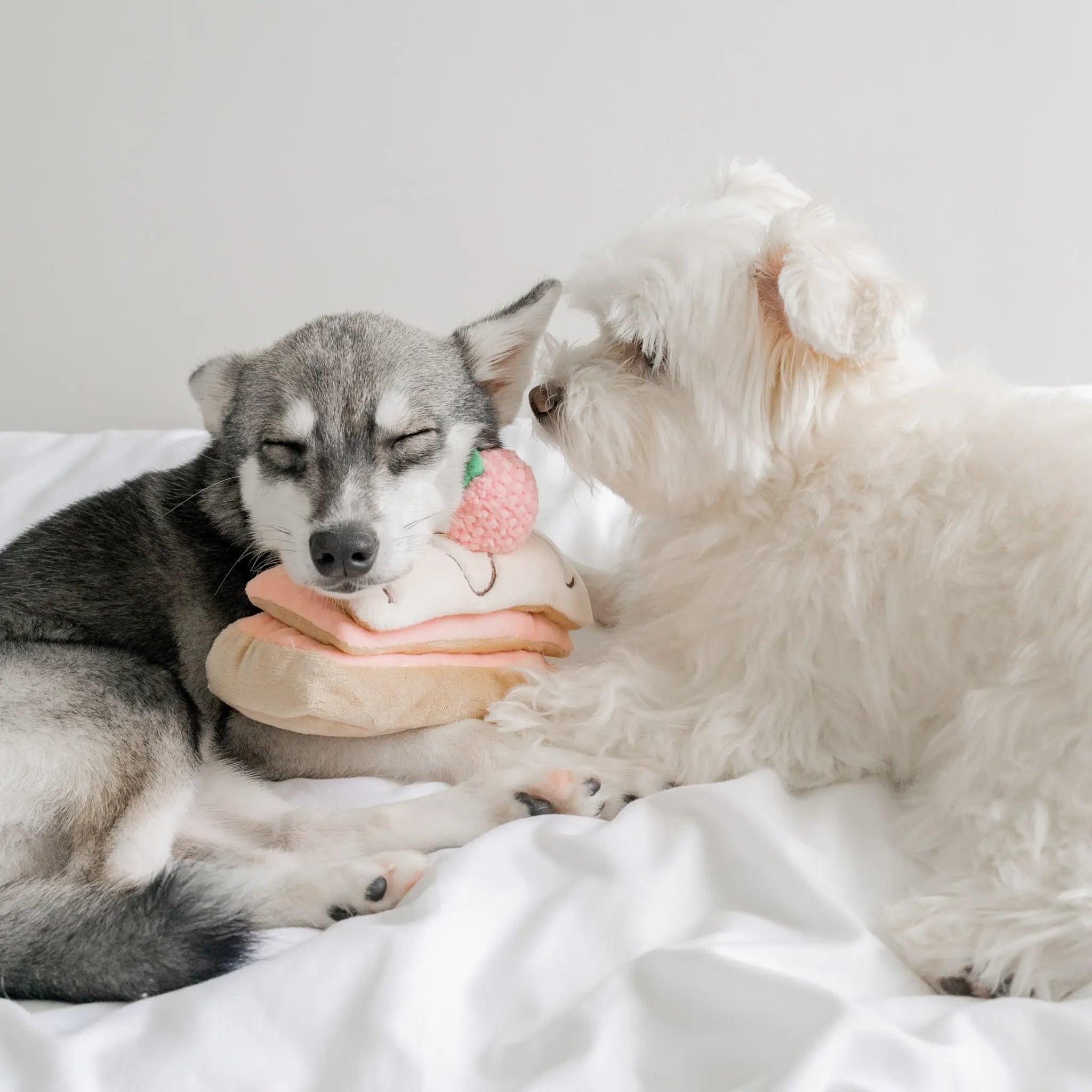 Enrichment Dog Toy - Strawberry Mille-Feuille - Pups & Bubs - La Maison Mou