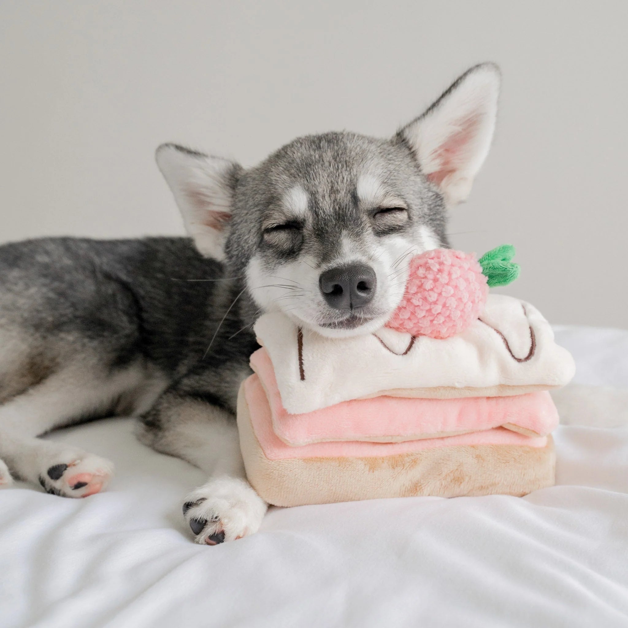 Enrichment Dog Toy - Strawberry Mille-Feuille - Pups & Bubs - La Maison Mou