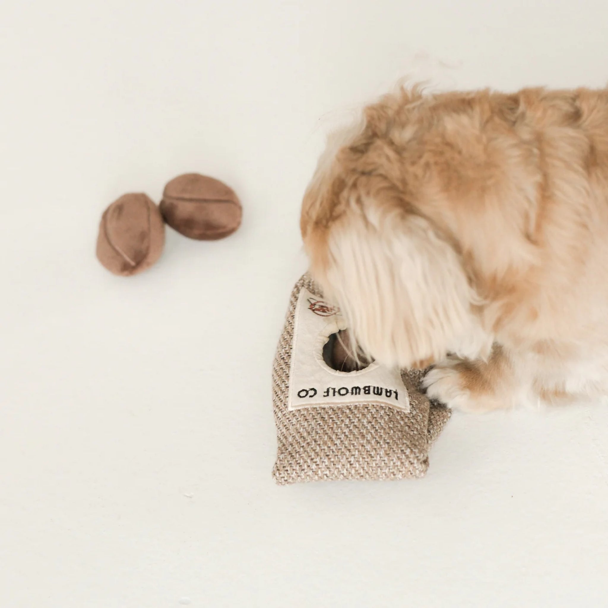 A small fluffy tan dog interacting with the interactive coffee bag pouch on a white floor, foraging inside the opening for hidden treats and toys.