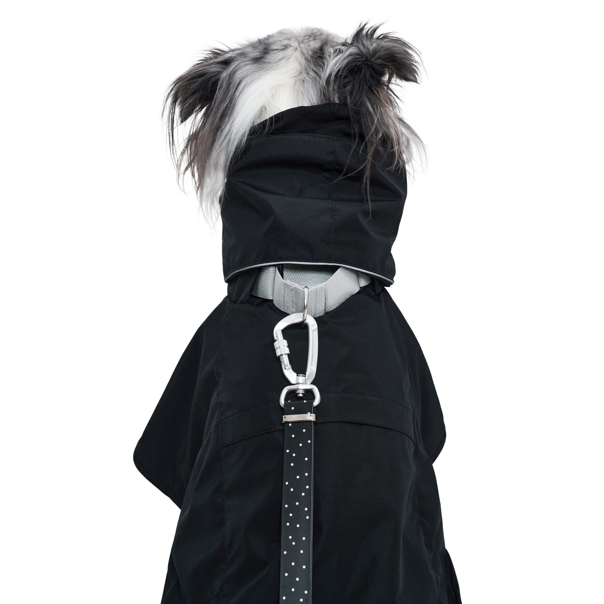 A rear view detail shot focusing on the back of the black Merlot Ain™ dog raincoat, demonstrating how a polka-dot leash clips securely into the grey collar strap ring.